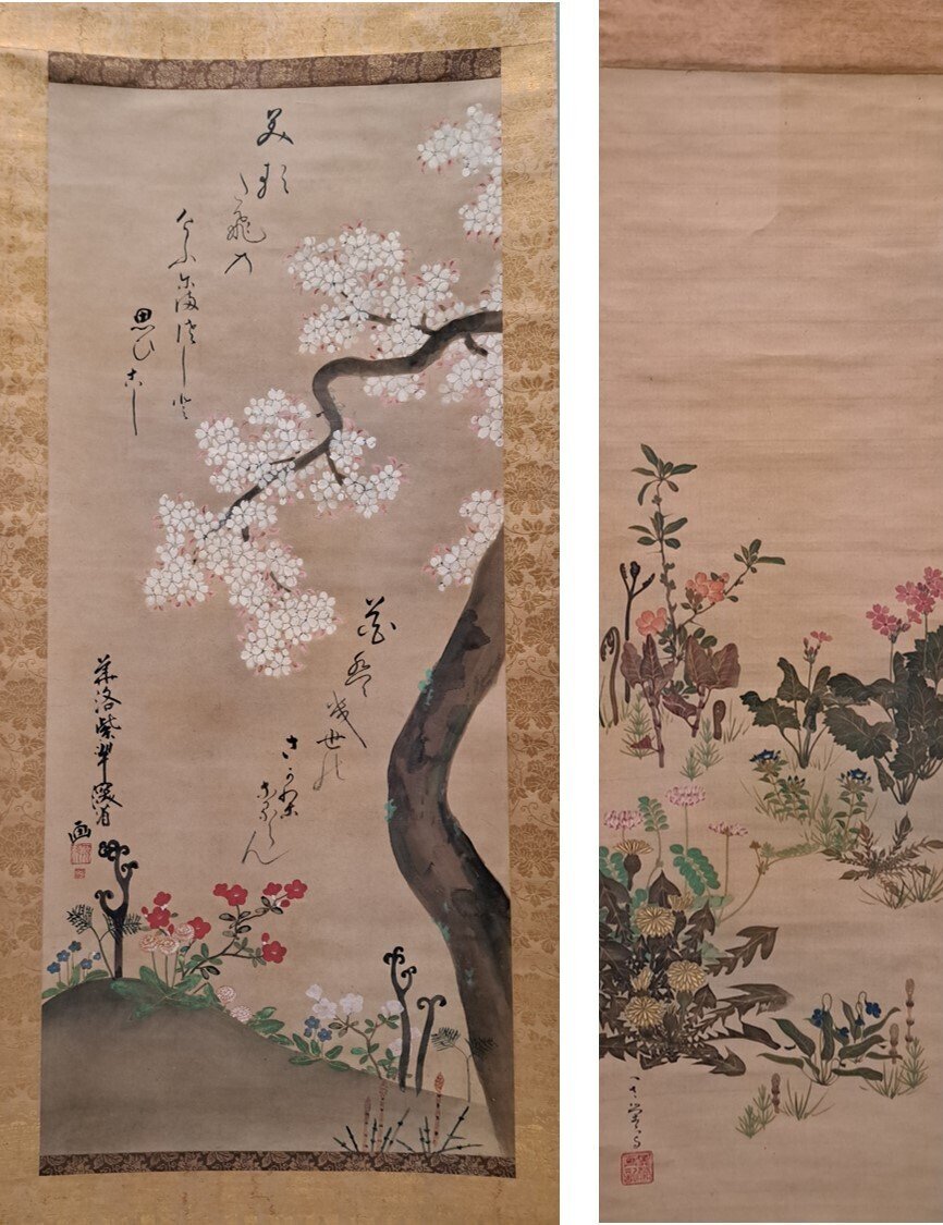絵画　青と植物 ENCYCLOPEDIA OF FLOWERS Ⅵ 植物図鑑｜青幻舎 SEIGENSHA Art