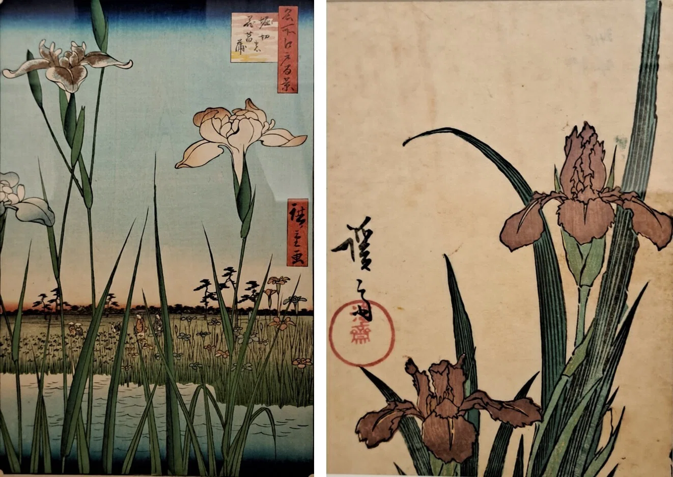 植物画とは何か＞（1）：植物画鑑賞経験、日本絵画と植物、ヒルマ
