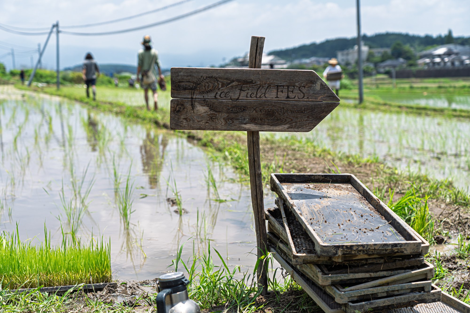 田んぼページ 田んぼと、音と、つながりと。 Rice Field Fes. 田植え2025 泥と笑顔の