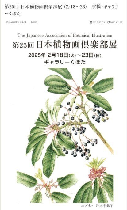 絵画　青と植物 植物画とは何か＞（1）：植物画鑑賞経験、日本絵画と植物