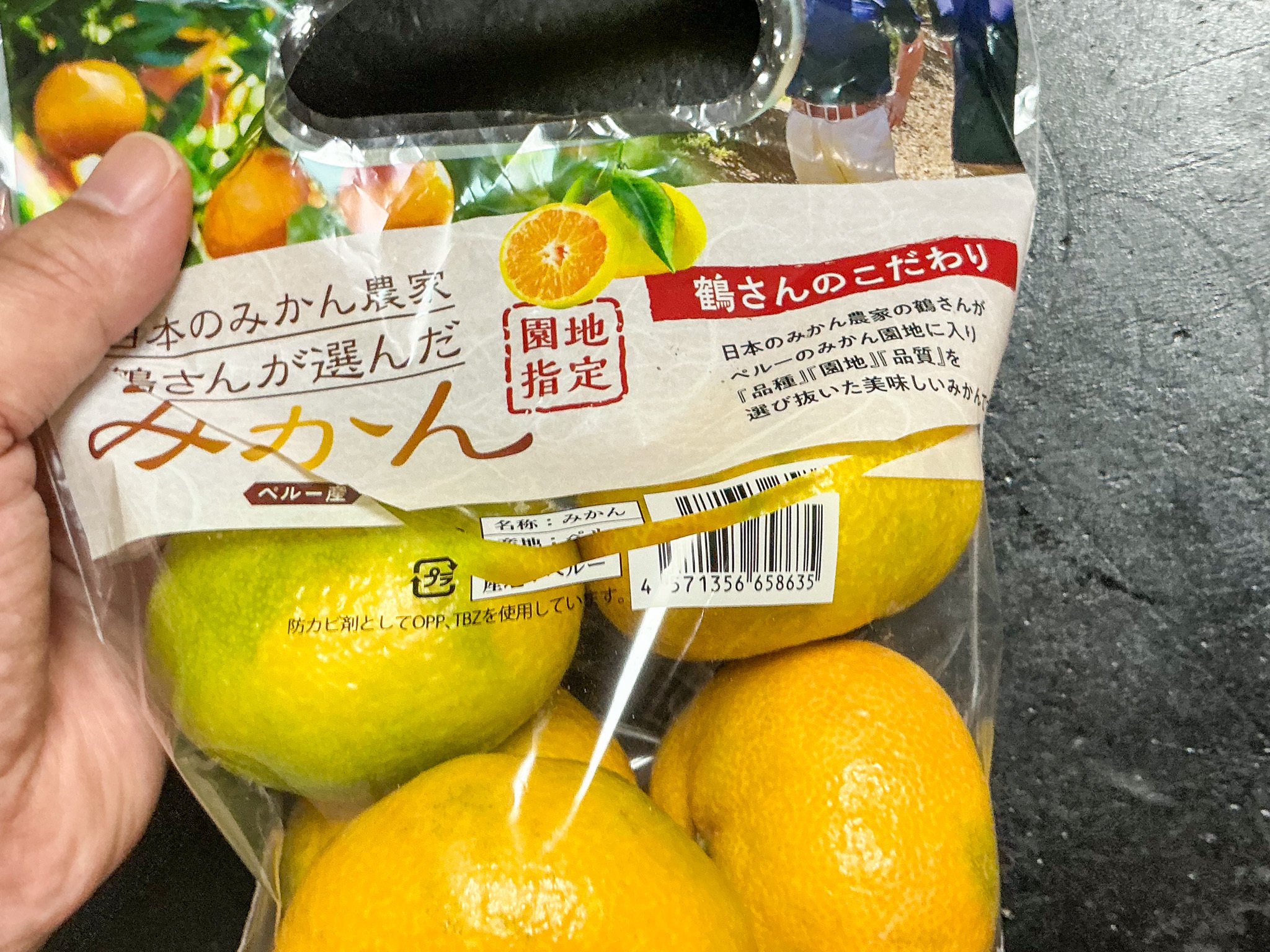 ペルーからの刺客｜能戸淳