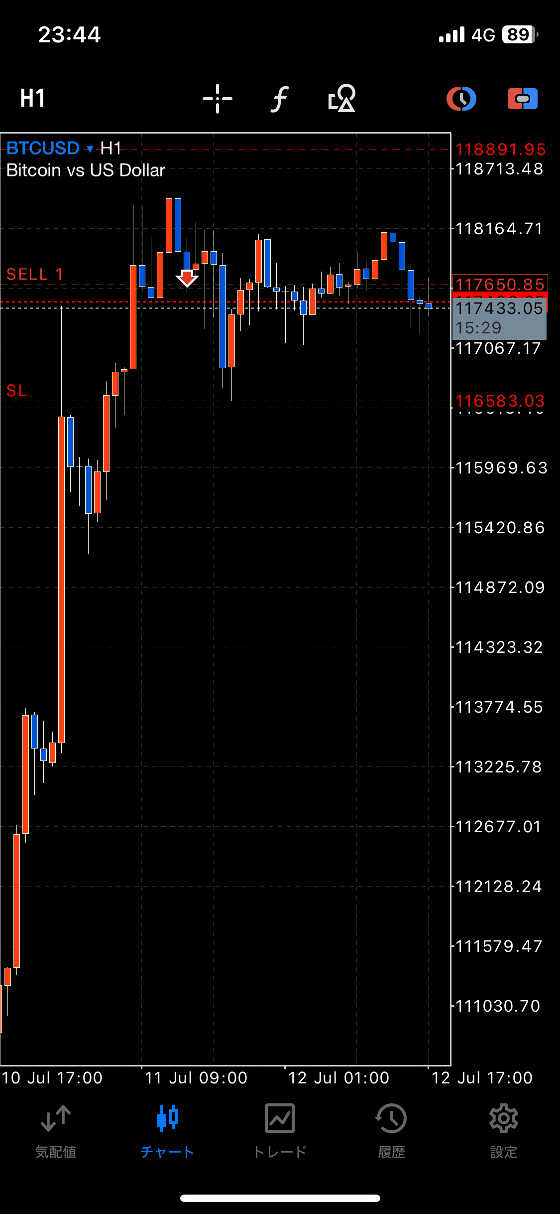 FX】休日はビットコイントレード！（7月12日）｜FX RT