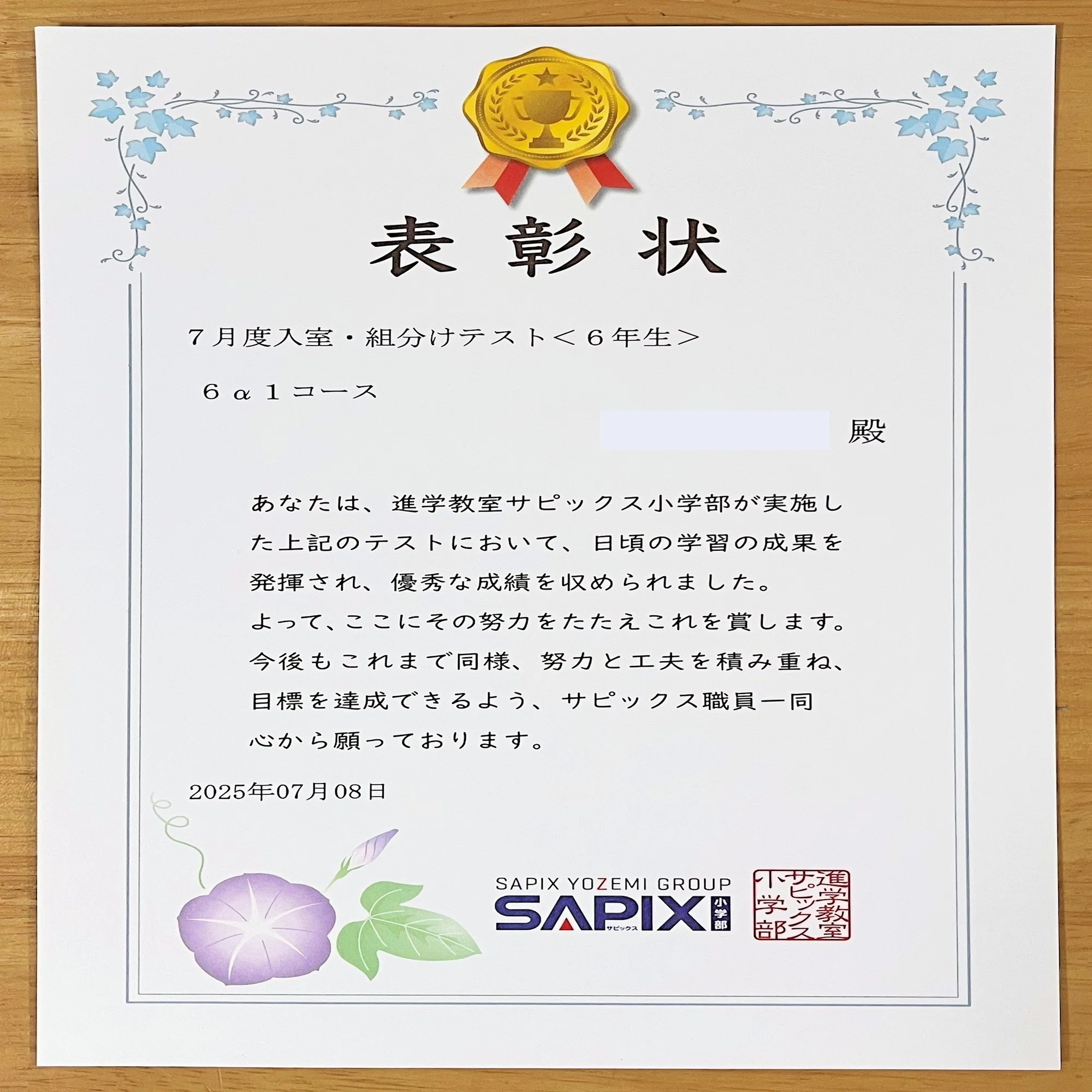 メダル13個】SAPIX 6年間の組分けテストの軌跡【サピックスα1中学受験 