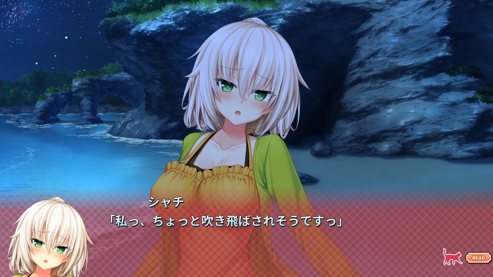 ノラと皇女と野良猫ハート』感想②｜麻山 米