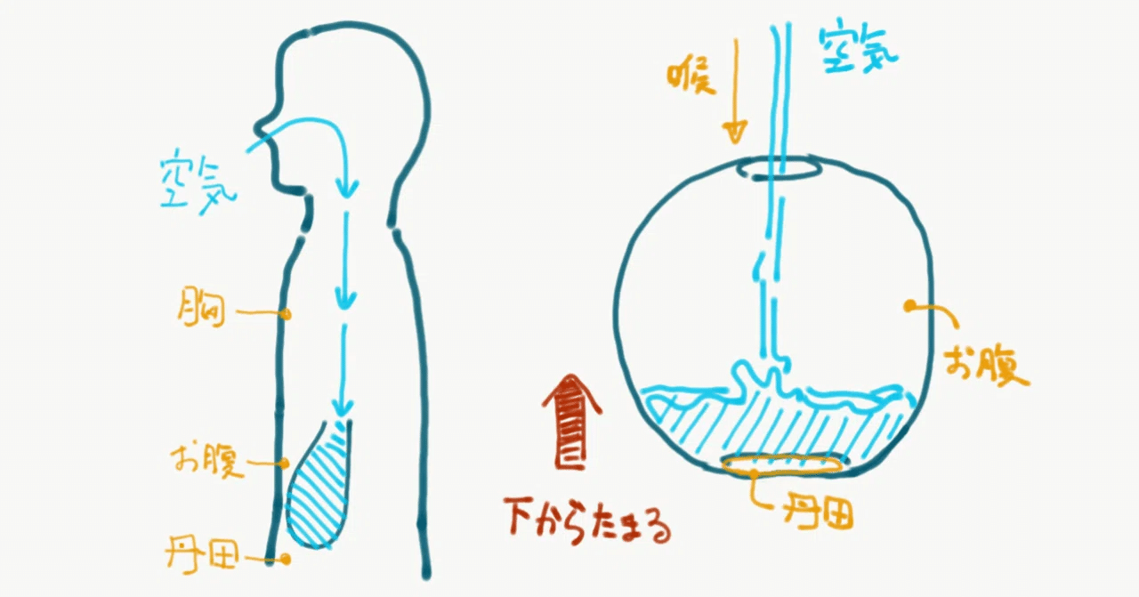 肥田春充　根本的健脳法 Amazon.co.jp: 実験根本的健脳法 : 肥田 春充: 本