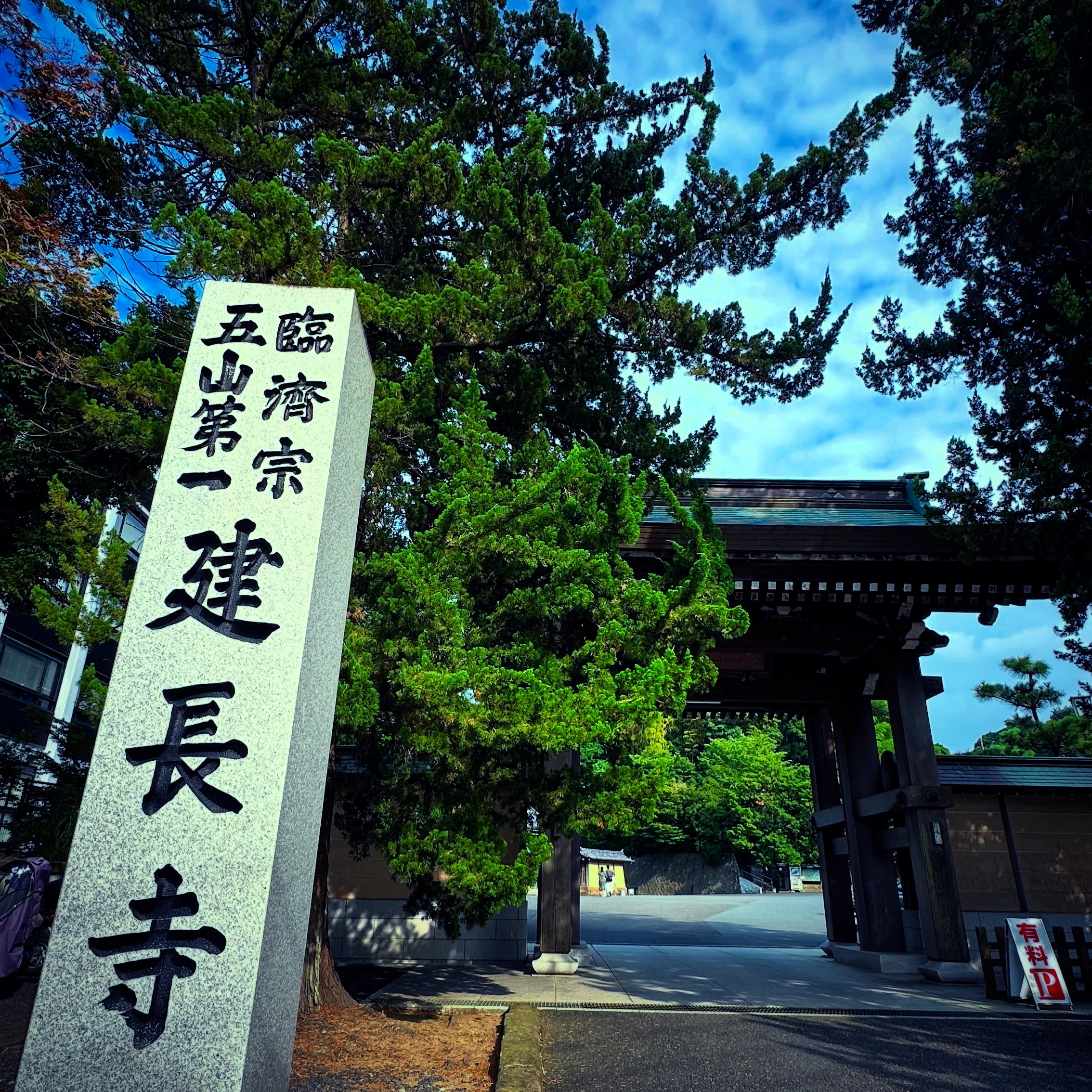 建長寺真夏の蓮｜姚遠_東京流行通訊