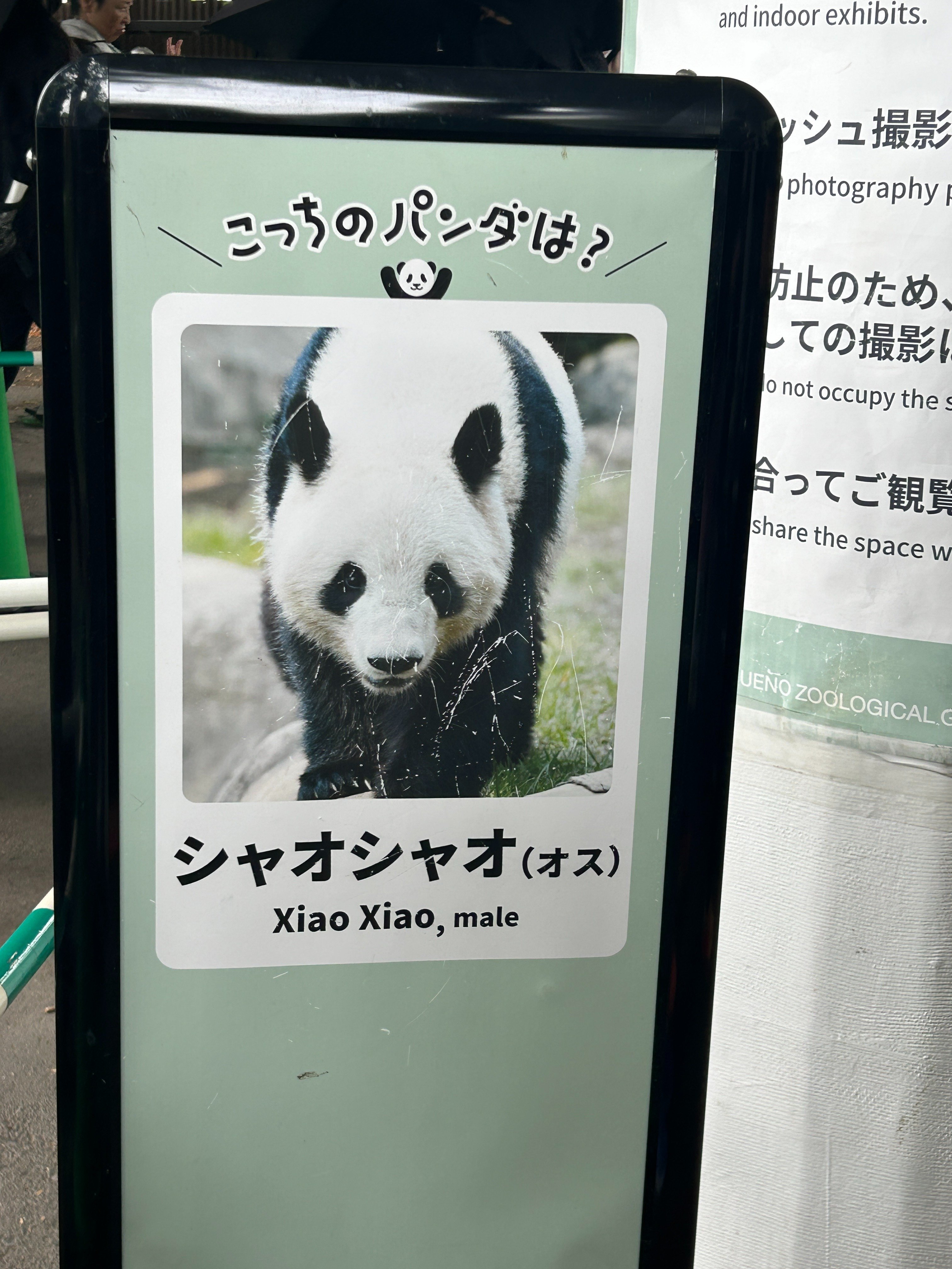 パンダ様　ご確認用ページです。 今日のパンダ（4006日目）