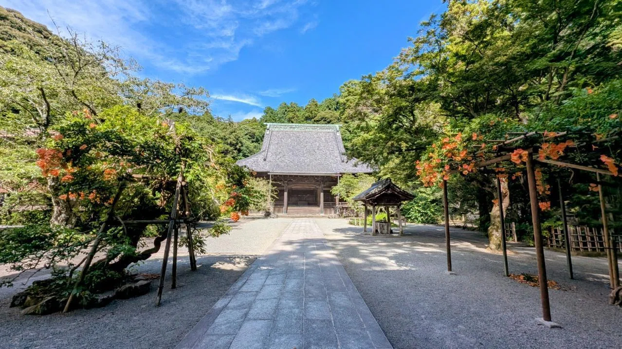 鎌倉・大町「妙本寺の凌霄花 2025」【四季折々の花、草木】〈名所編