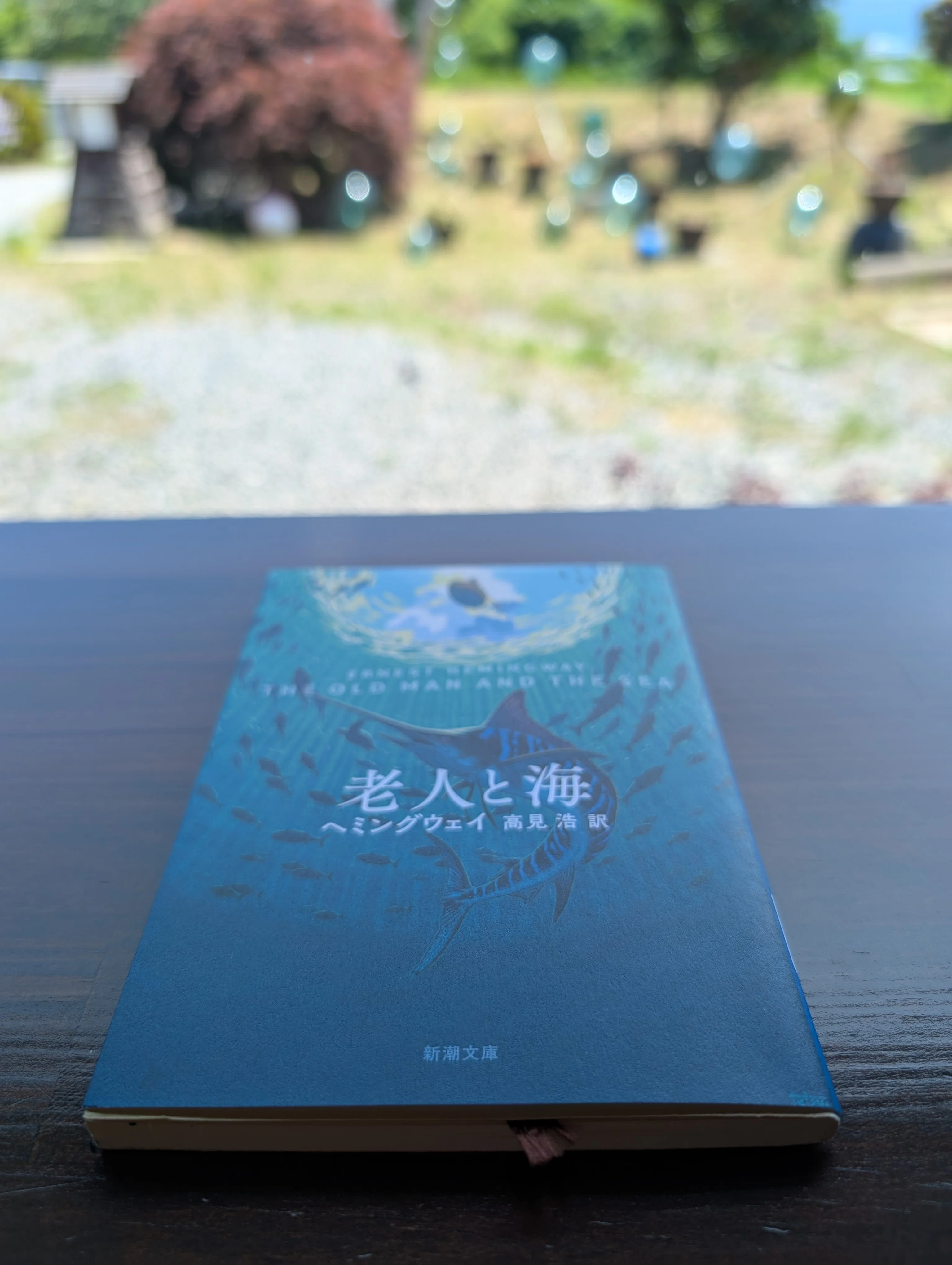 お金がないなら結婚した方が良い｜ヘミングウェイ「老人と海」を読んで