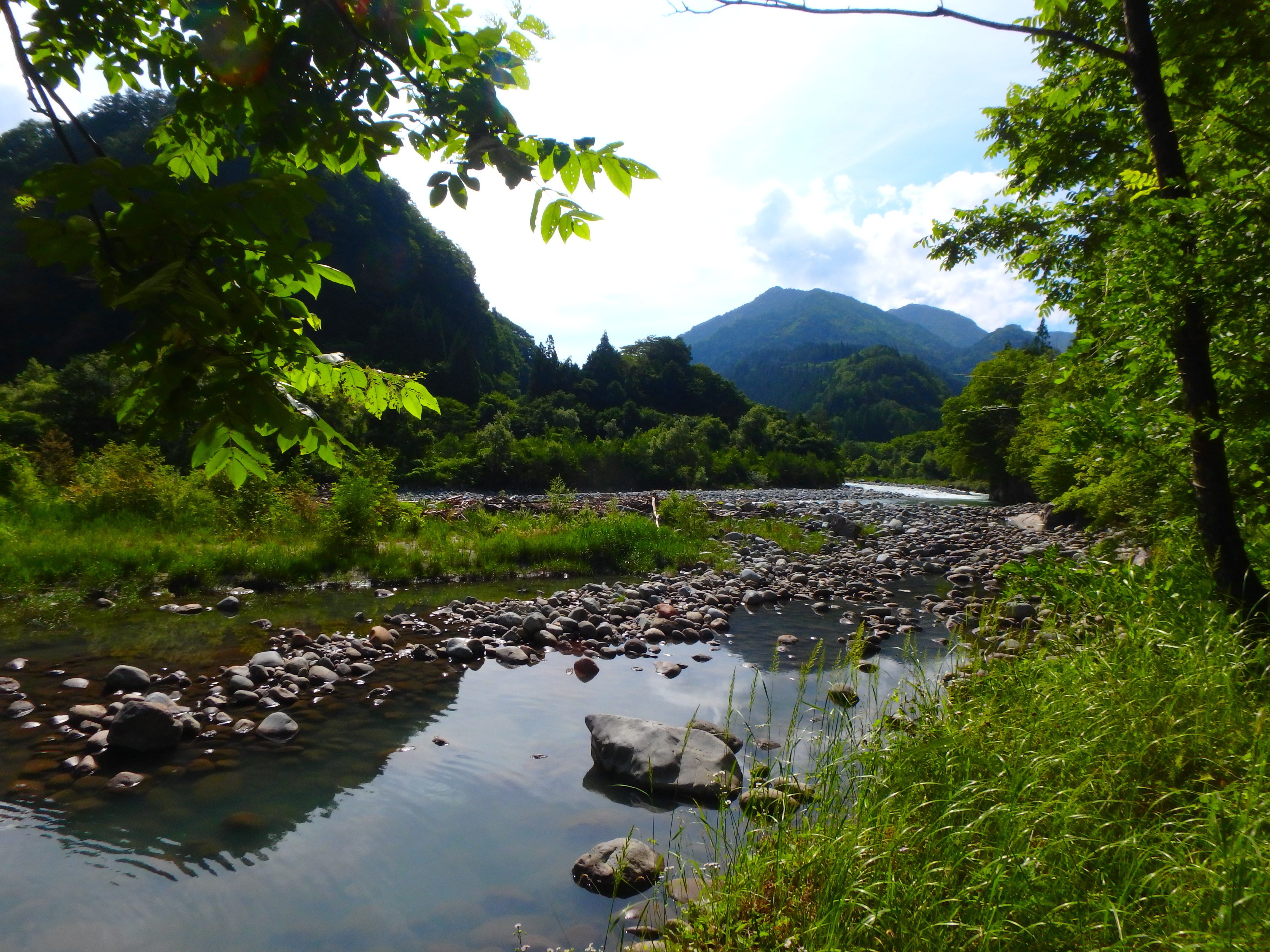 夏の渓流釣りは厳しいのです・・・奥飛騨 高原川釣行｜SW工房