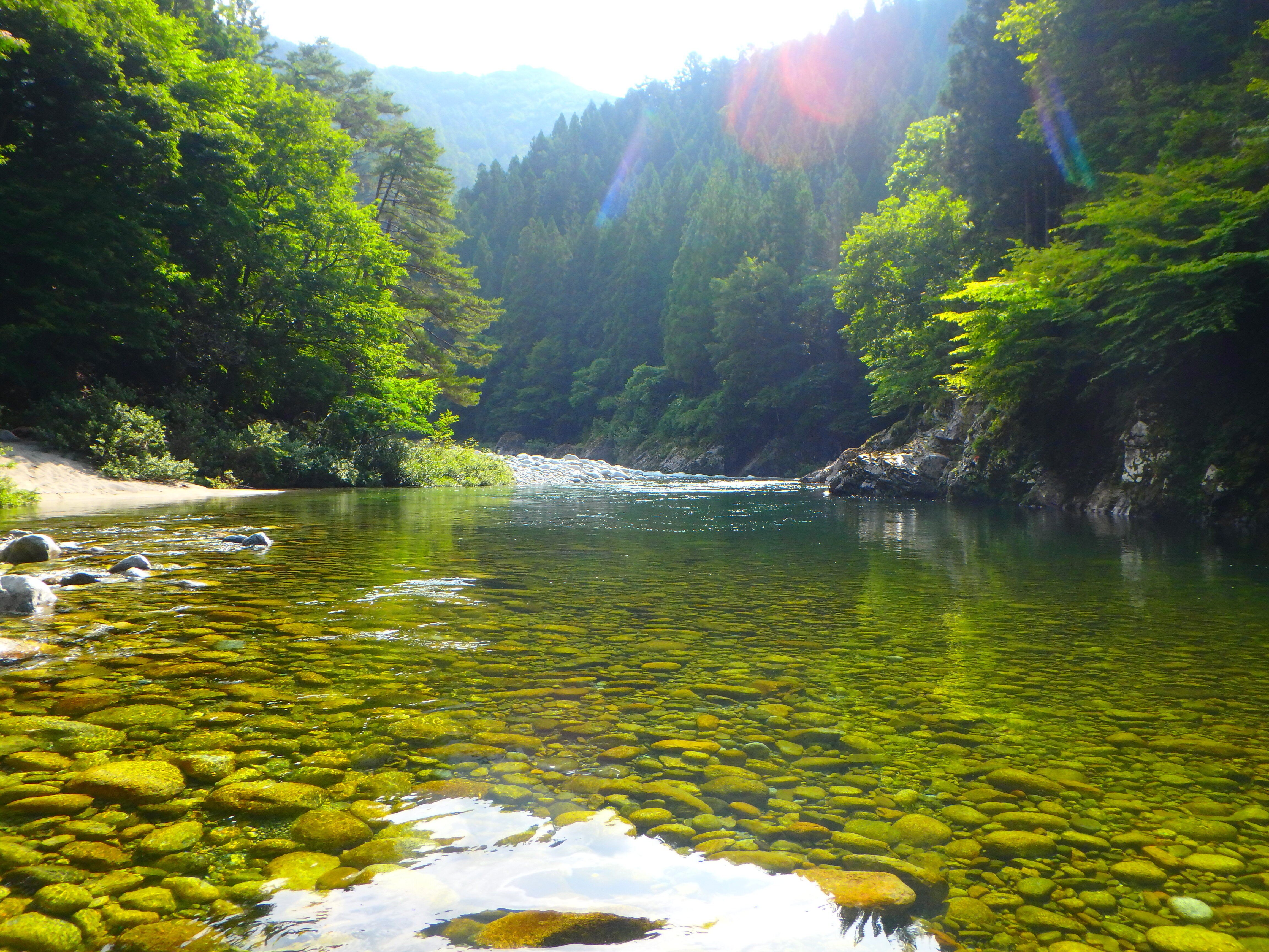 夏の渓流釣りは厳しいのです・・・奥飛騨 高原川釣行｜SW工房