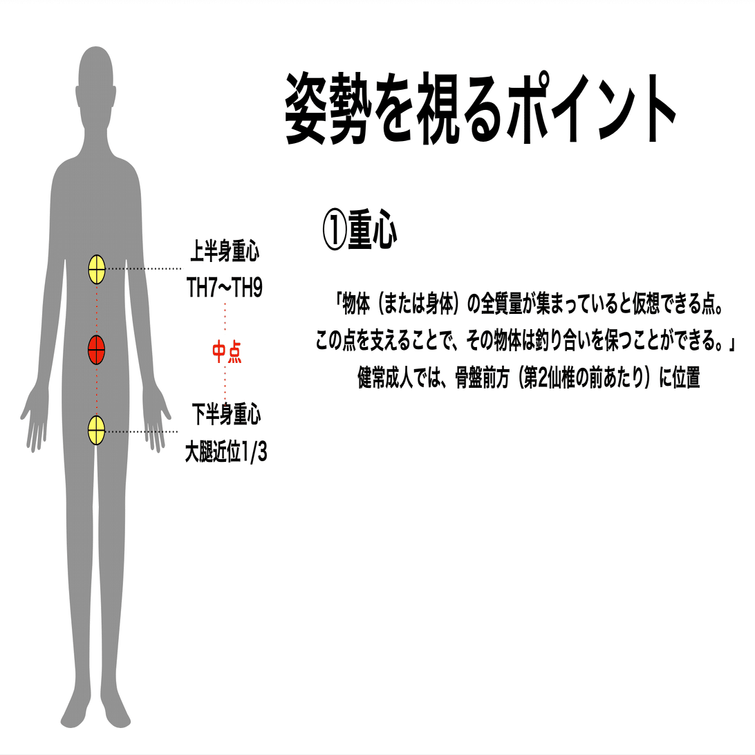 1時間でわかるADL動作分析 姿勢評価〜動作分析 見ているポイントとは