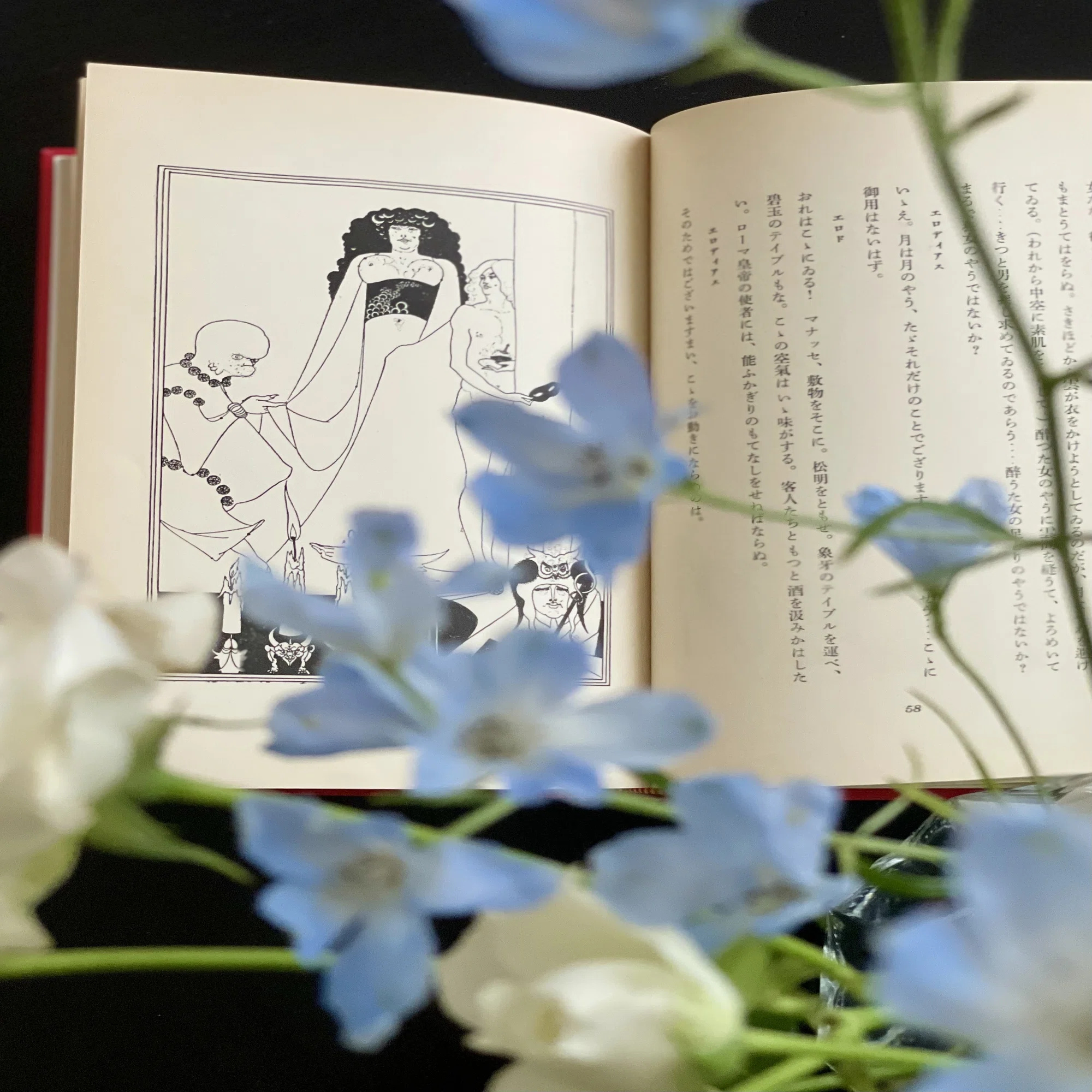 昭和三十三年の初版本『サロメ』を読む｜装丁と旧仮名遣いの美しさに癒 