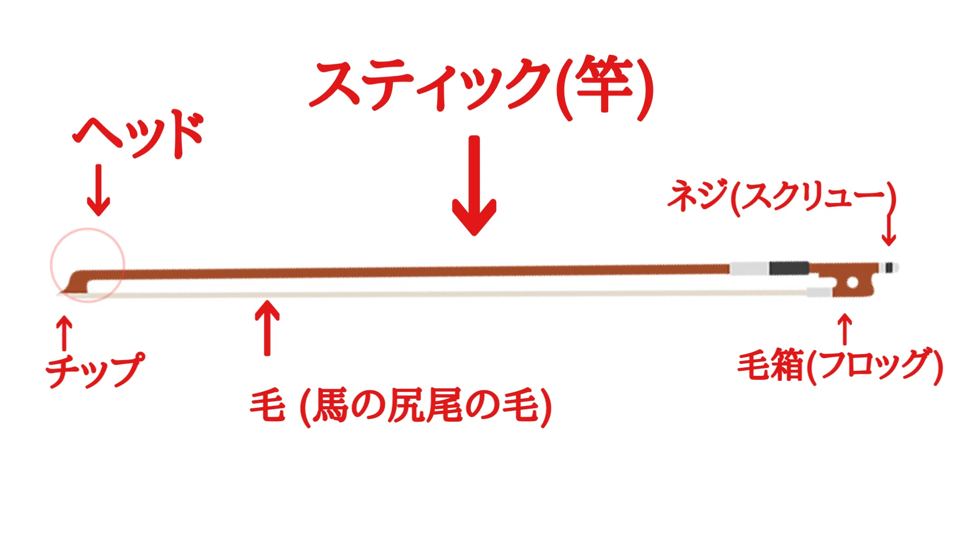 バヨリンloversとバヨリン知ら〜ズのための雑学(弓のおはなし