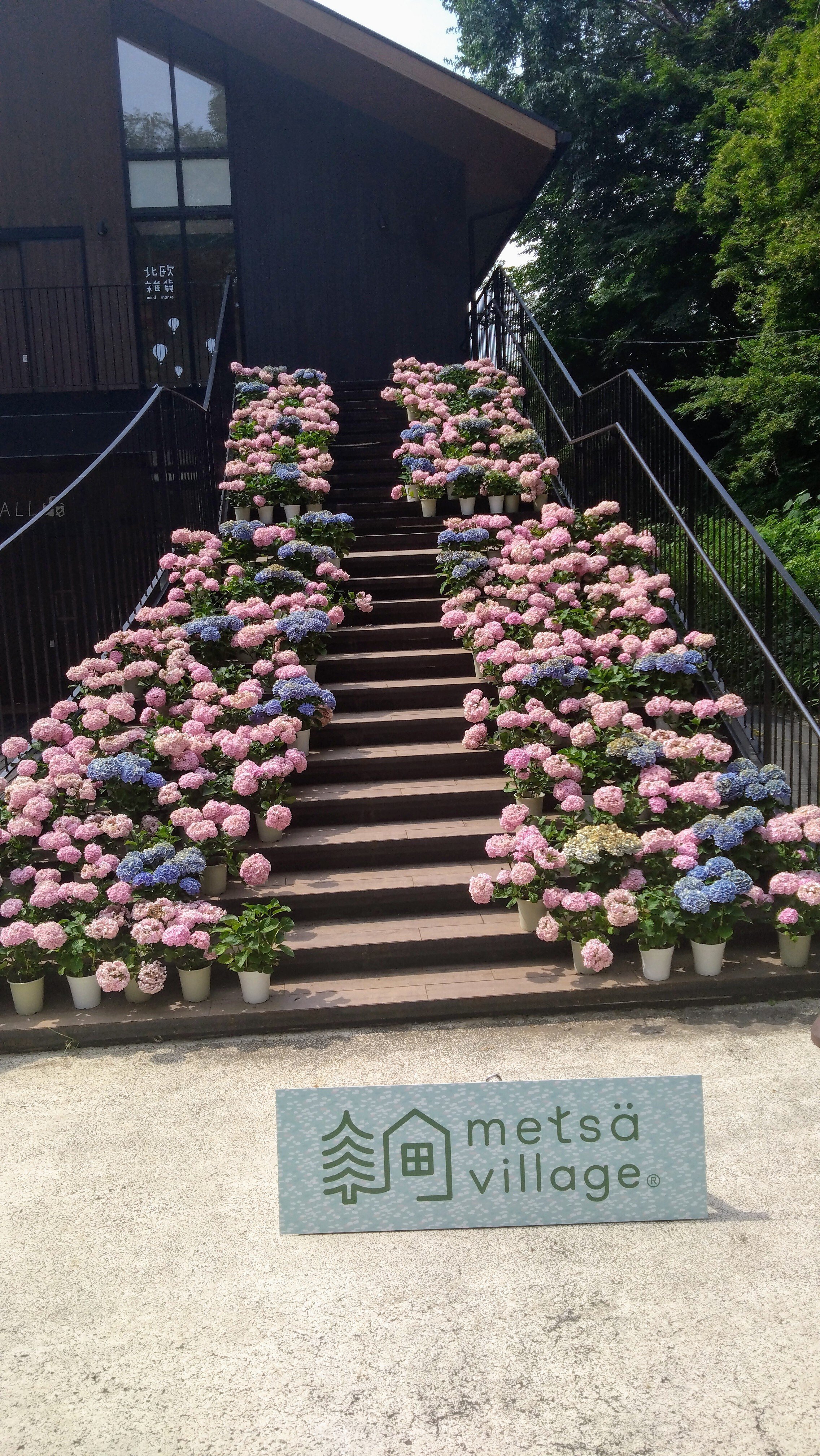 過酷？】埼玉県一周日帰旅行記｜わたる