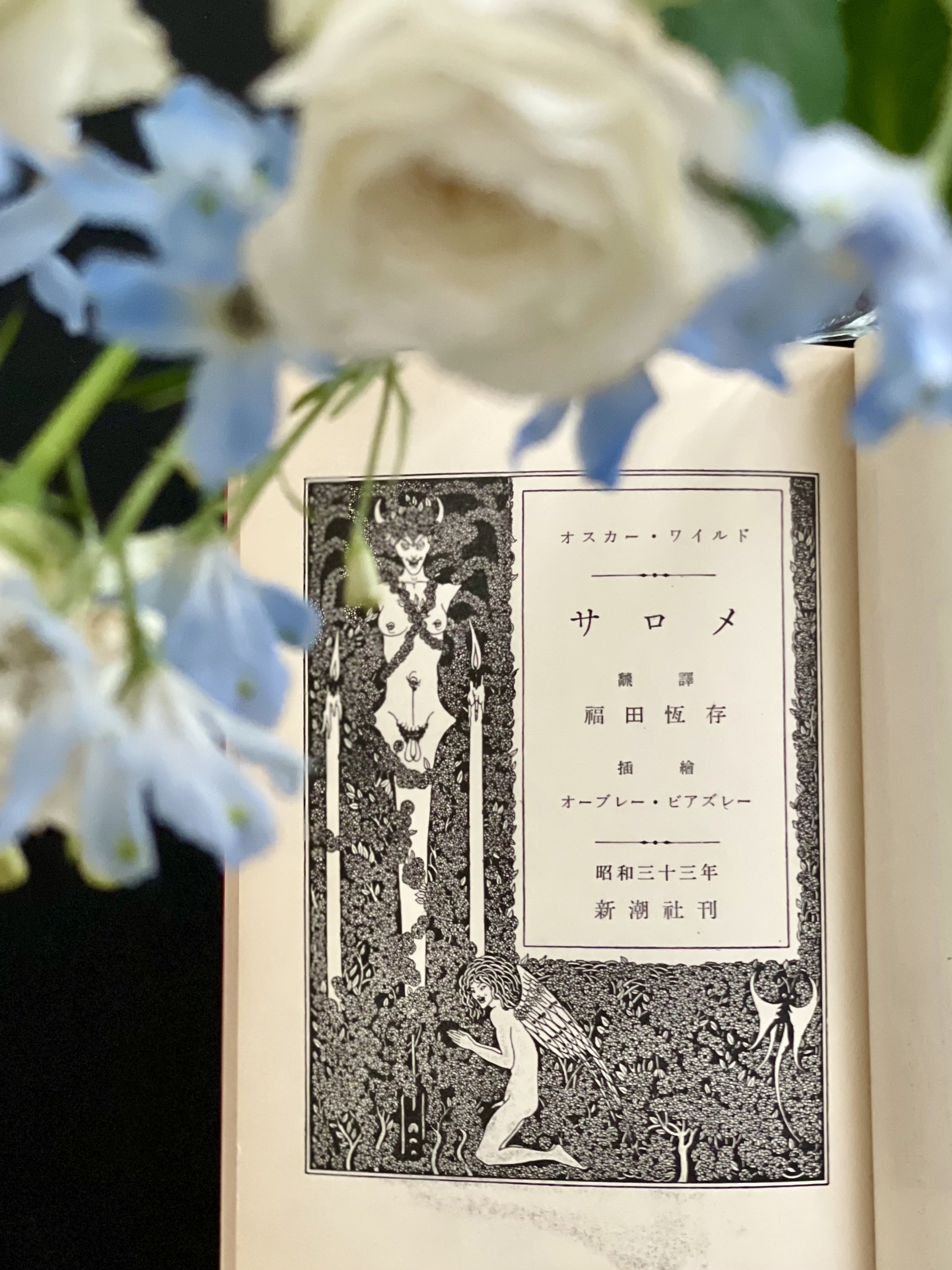 サロメ　初版　箱ケース付き 昭和三十三年の初版本『サロメ』を読む｜装丁と旧仮名遣いの美しさに癒