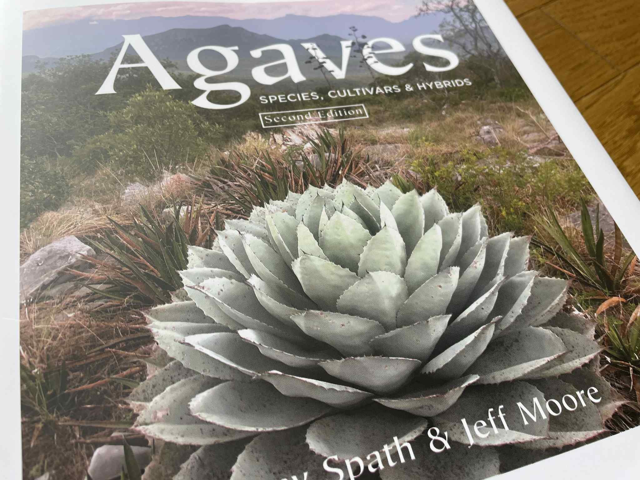 アガベの巨匠にDMを送ったら友達になった｜ミウラタカオ｜植物画＆園芸家