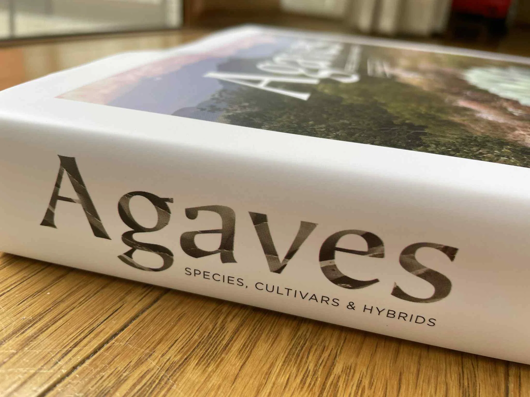 I DM'd an Agave Master and We Became Friends｜ミウラタカオ｜植物画