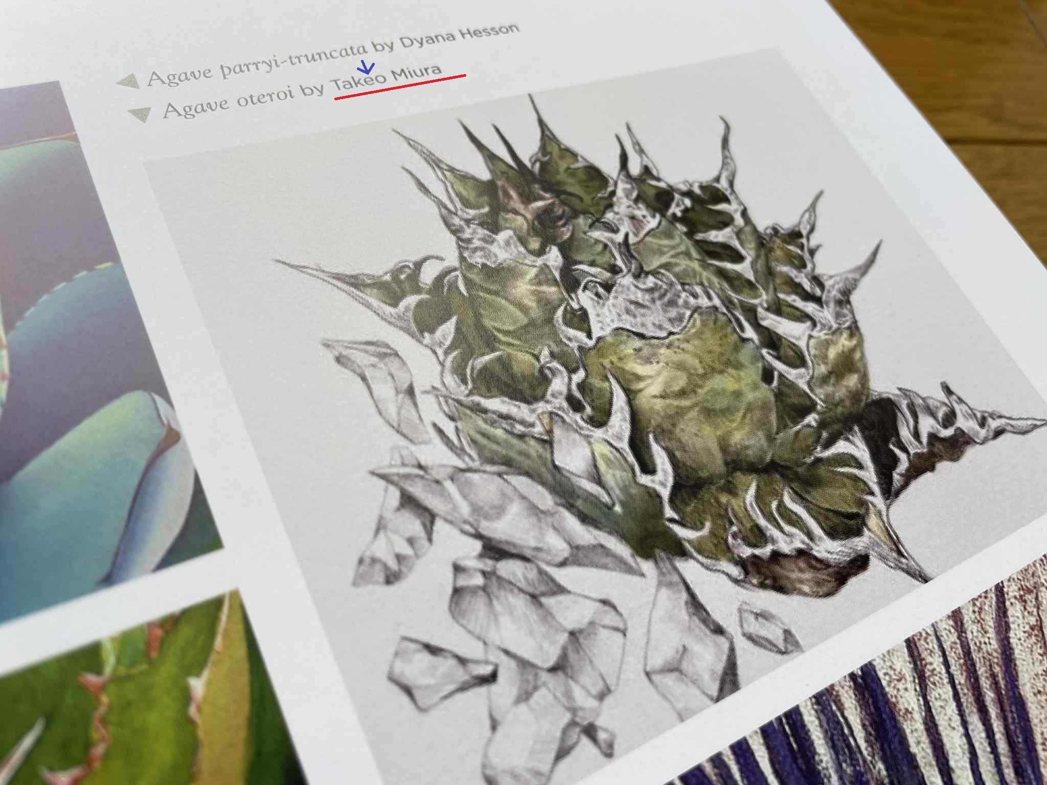 アガベの巨匠にDMを送ったら友達になった｜ミウラタカオ｜植物画＆園芸家