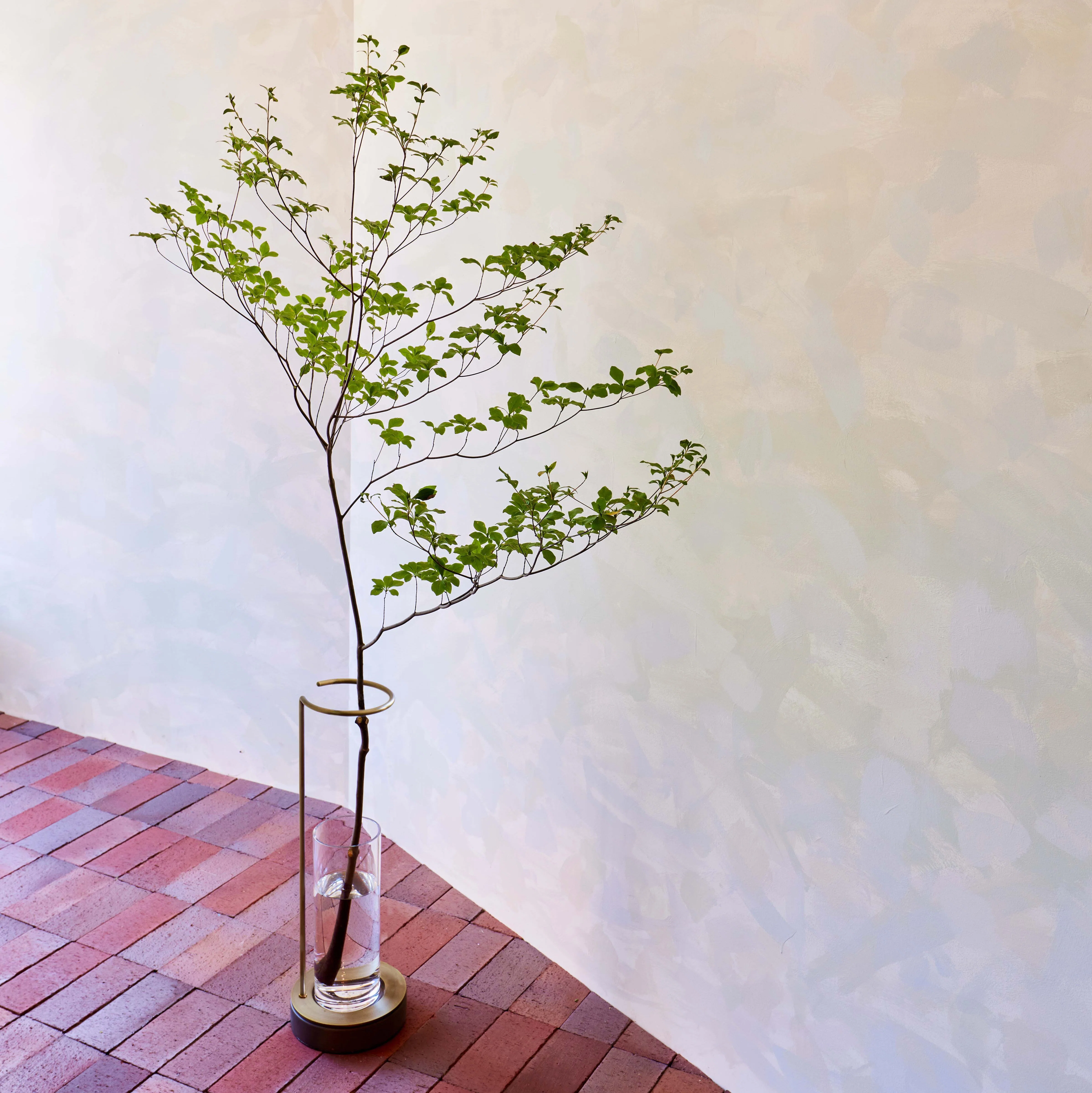 季節のうつろいを日常に。「EDA VASE」が叶える、新しい枝ものの飾り方