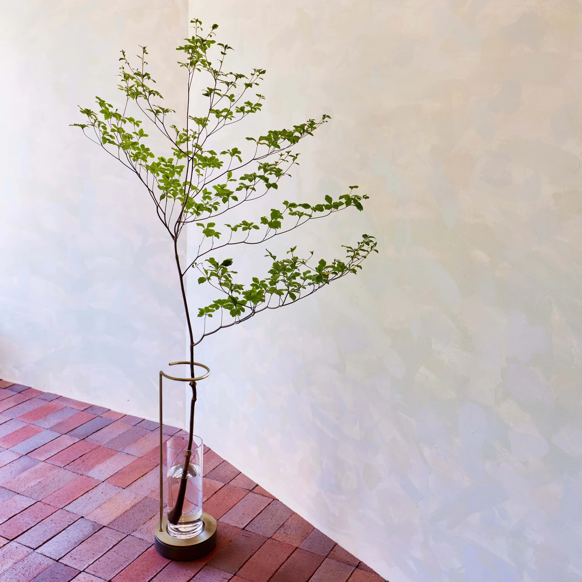 季節のうつろいを日常に。「EDA VASE」が叶える、新しい枝ものの飾り方 