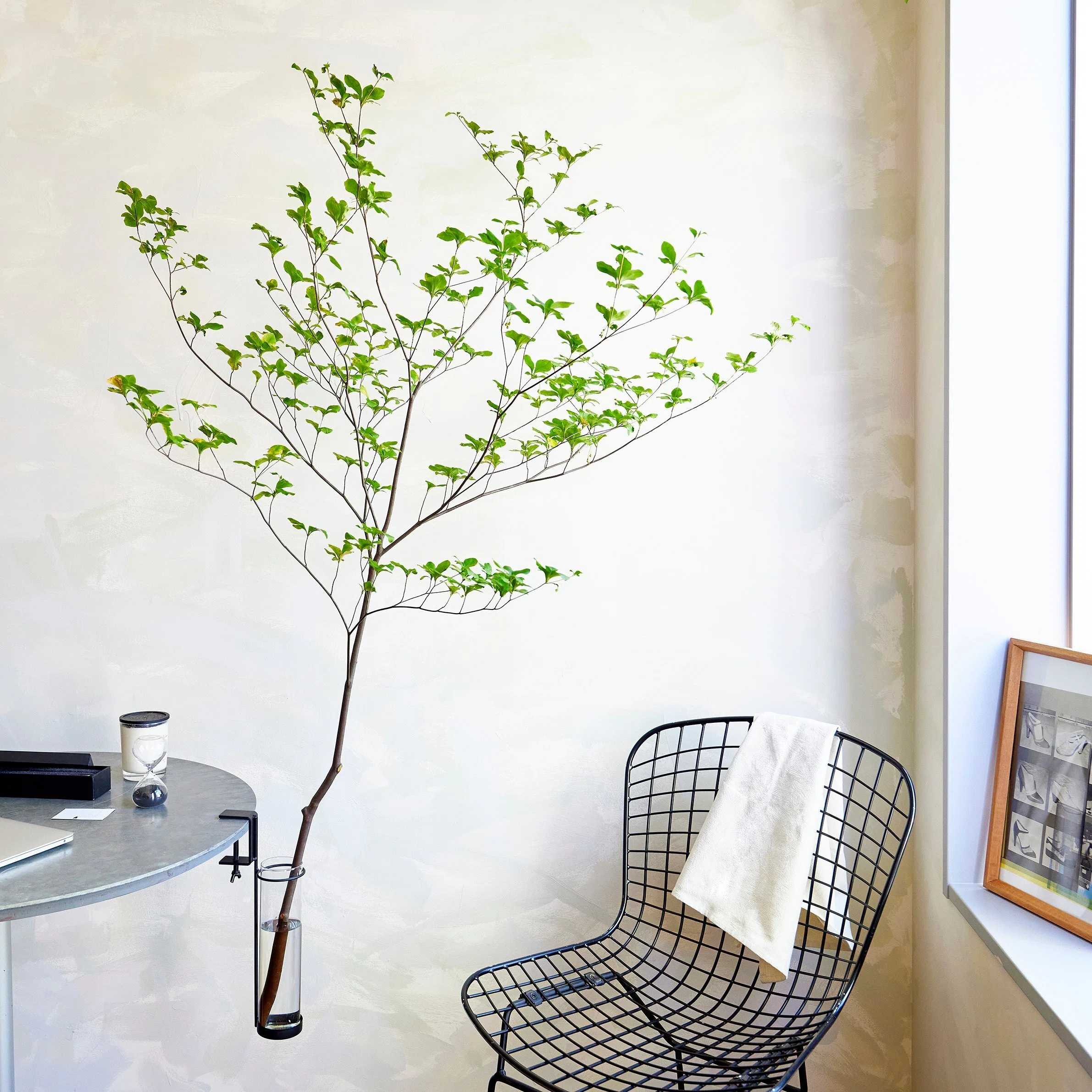 Bringing the changing seasons into your daily life. A new way to