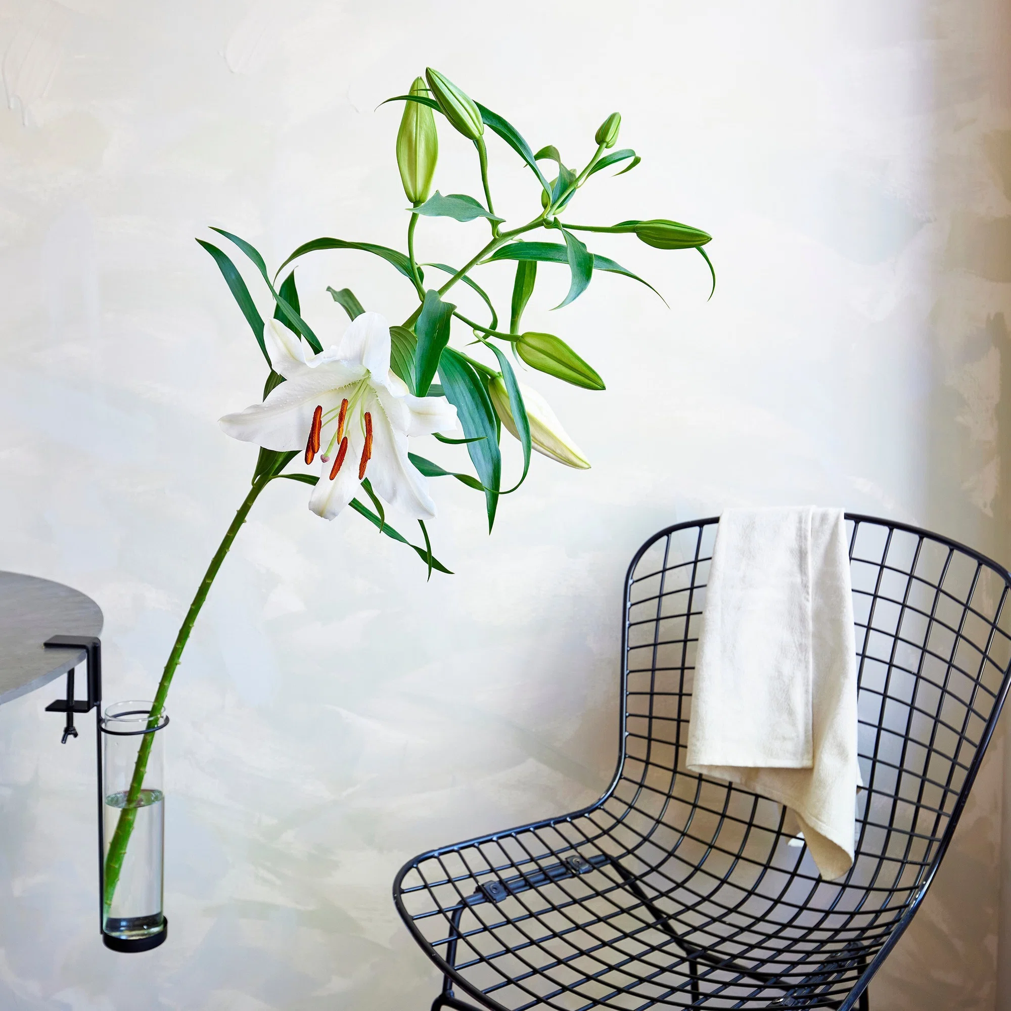 季節のうつろいを日常に。「EDA VASE」が叶える、新しい枝ものの飾り方 
