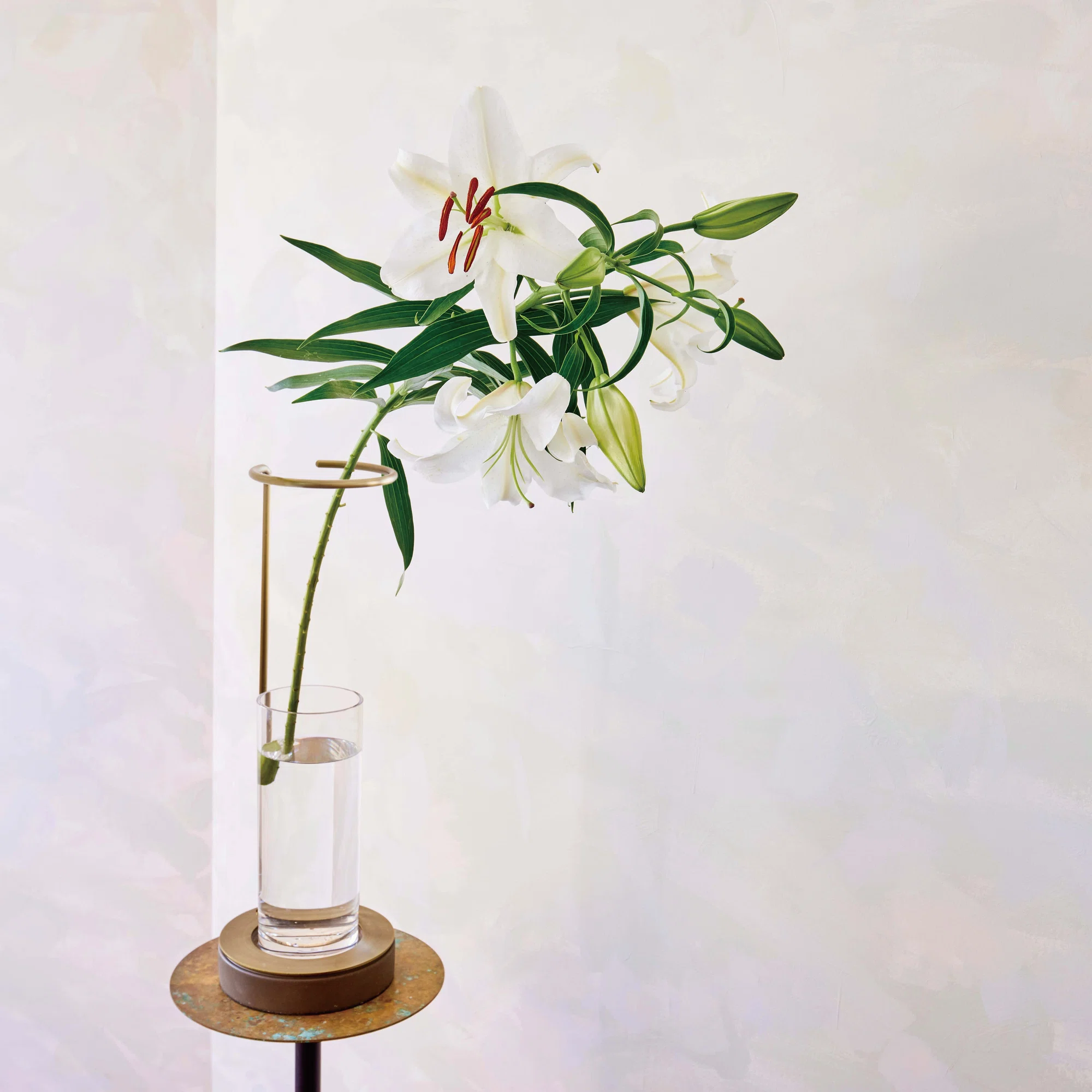 季節のうつろいを日常に。「EDA VASE」が叶える、新しい枝ものの飾り方 