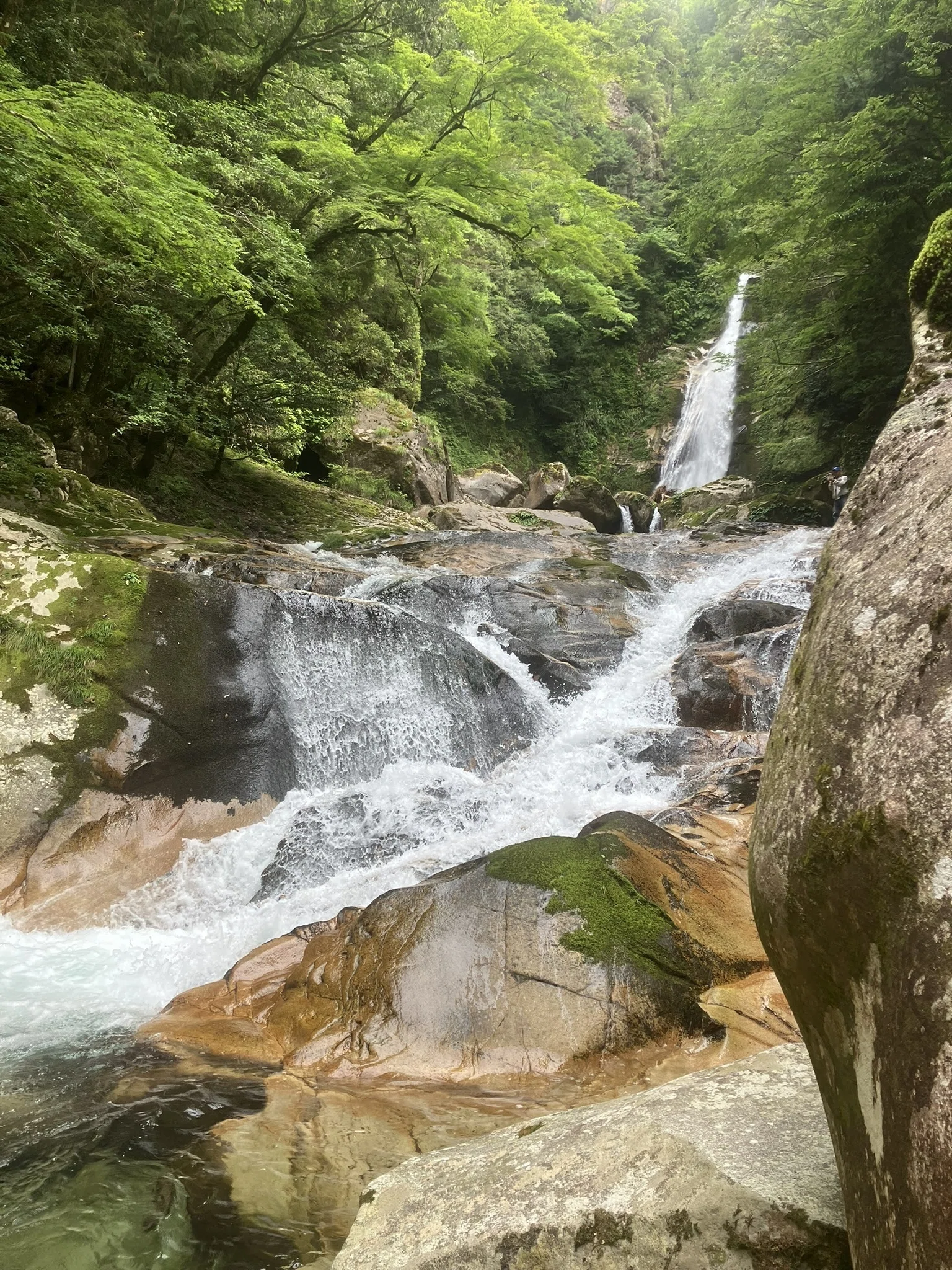 けんけん優遇なし 廃線サボ 落合行 / 滝川行 ○滝 奈良・十津川村】岩のトンネルをくぐった先に現れる絶景。笹の滝で心を