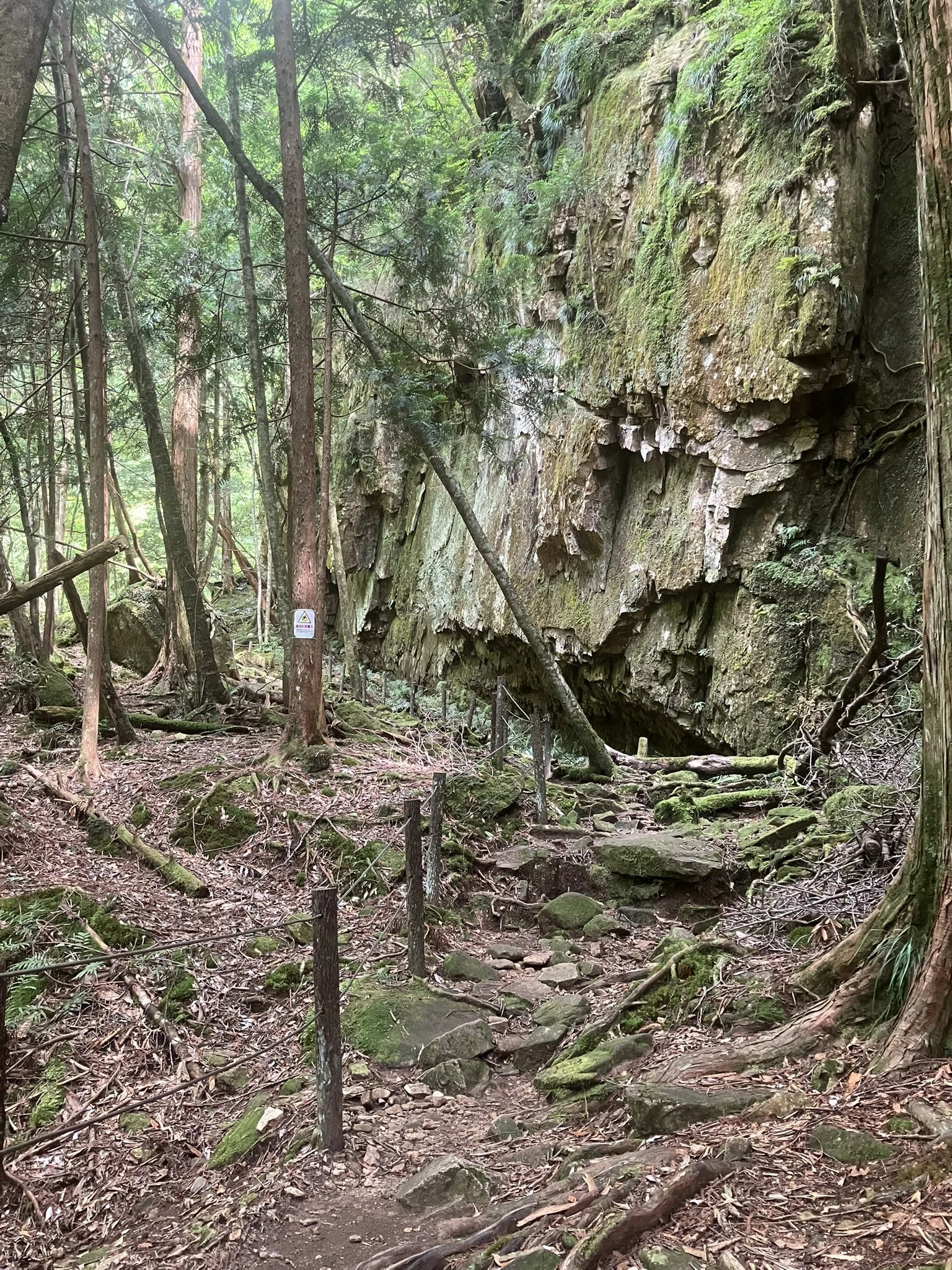 奈良・十津川村】岩のトンネルをくぐった先に現れる絶景。笹の滝で心を