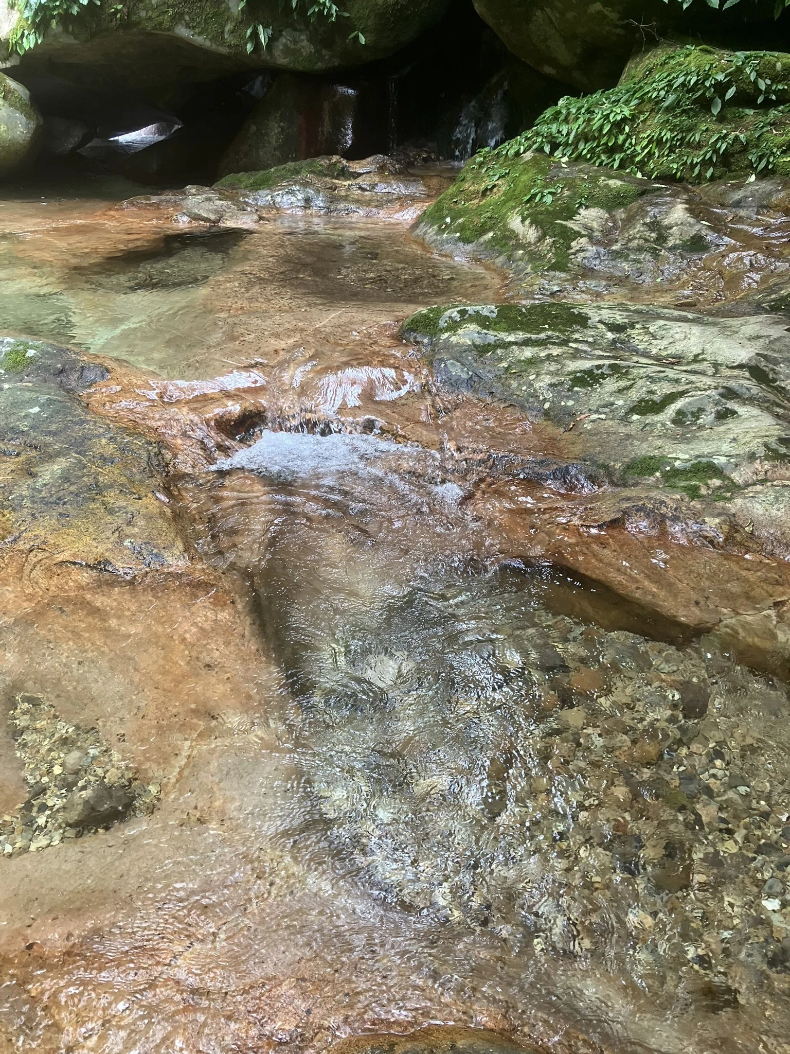 奈良・十津川村】岩のトンネルをくぐった先に現れる絶景。笹の滝で心を