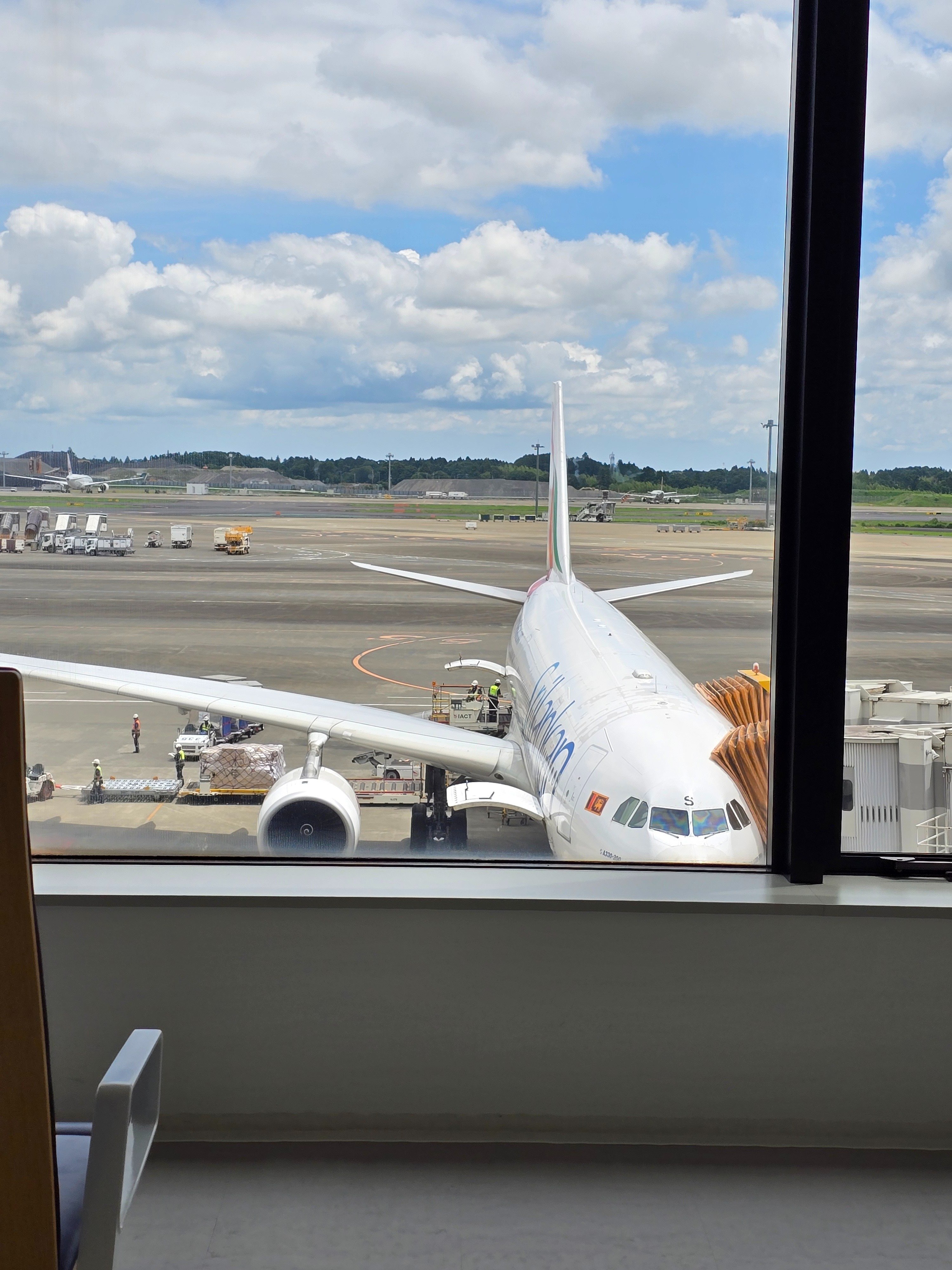 初めての海外出張！スリランカ航空搭乗→入国レポ！｜株式会社ダイキ