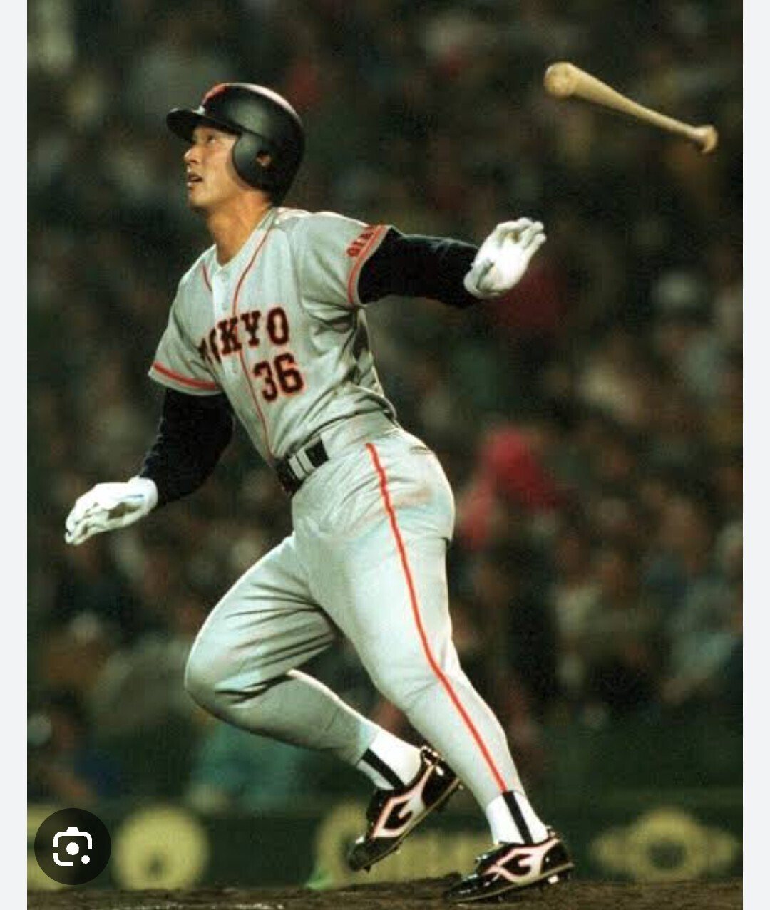 ヤクルトスワローズ選手名鑑長嶋一茂｜ぼぶほーなー