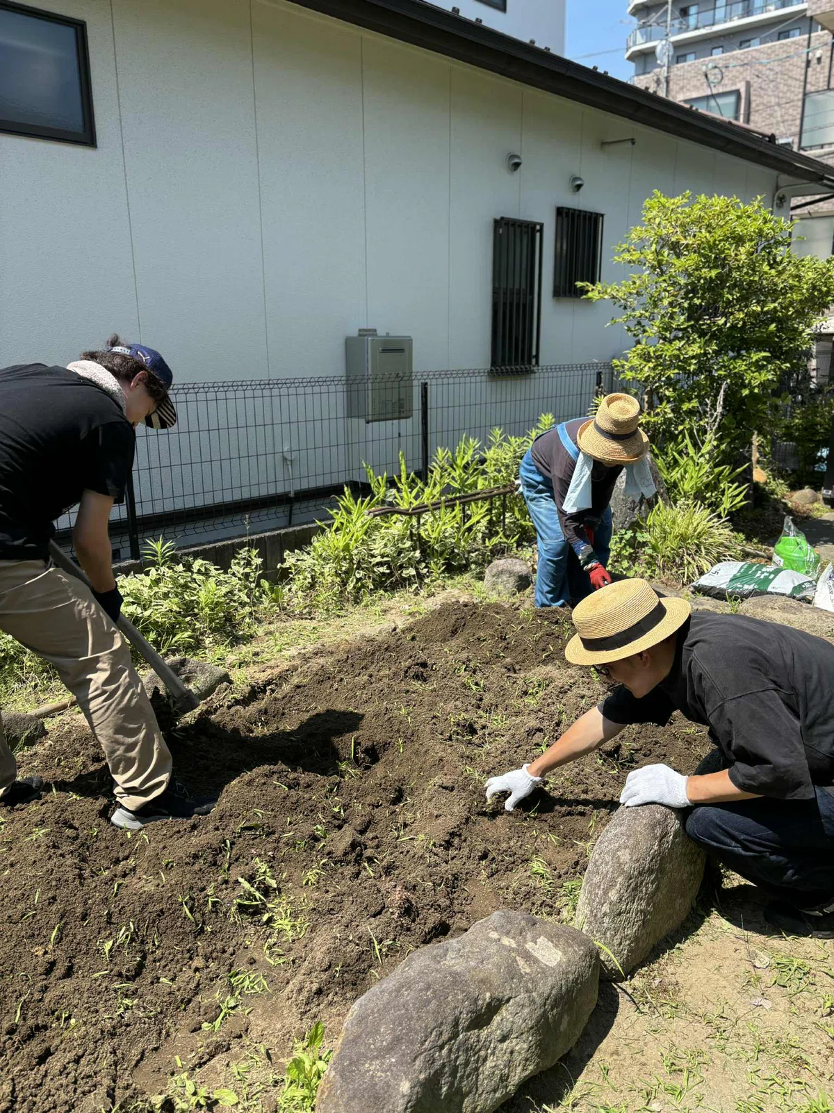 City Vegetables - 畑のための土づくり｜くらしともしもの研究所
