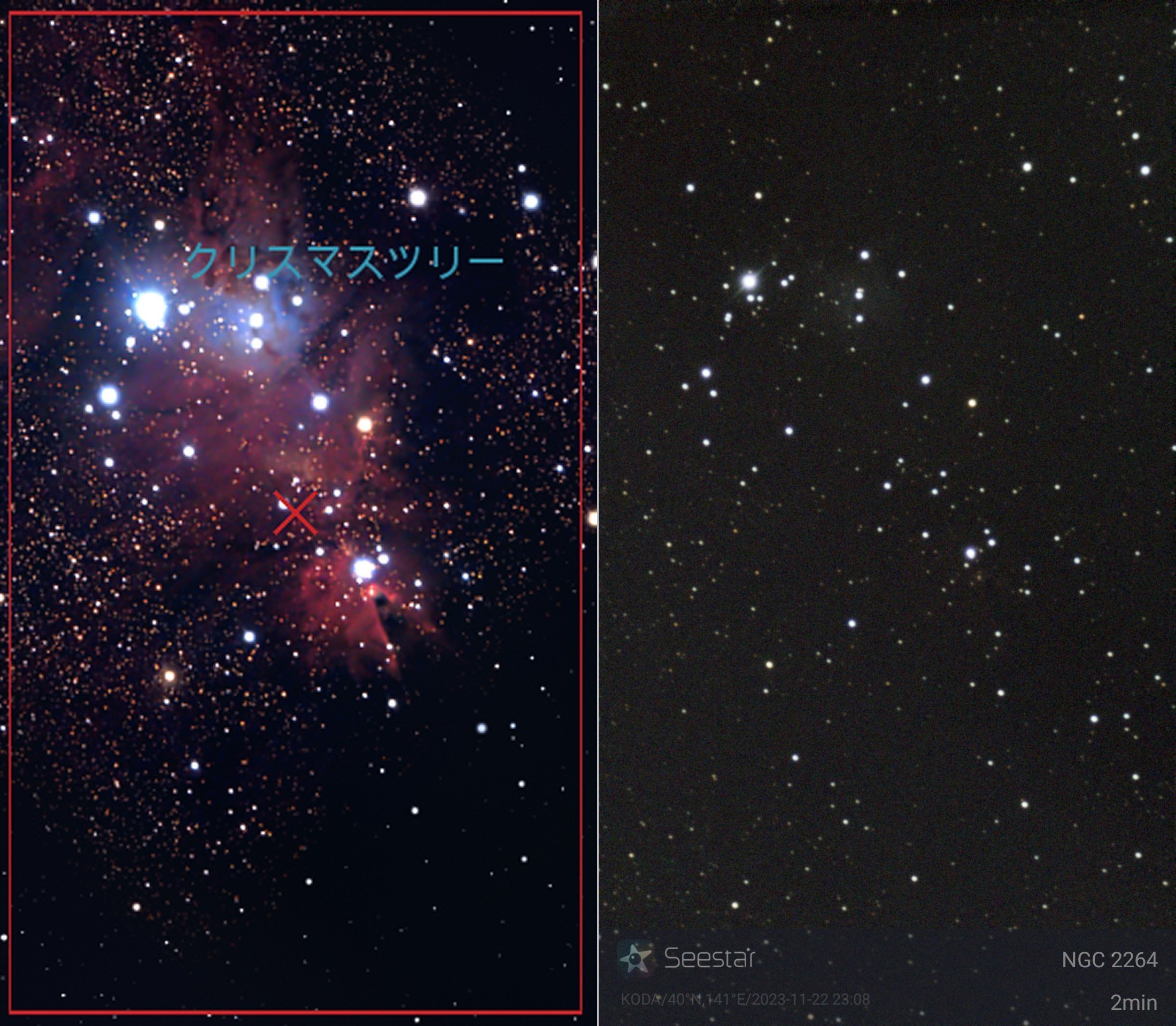 ReSIM リズム　LA-F 174cm 【最終値下げです】 ReSIM リズム LA-F 174cm 【最終値下げです】