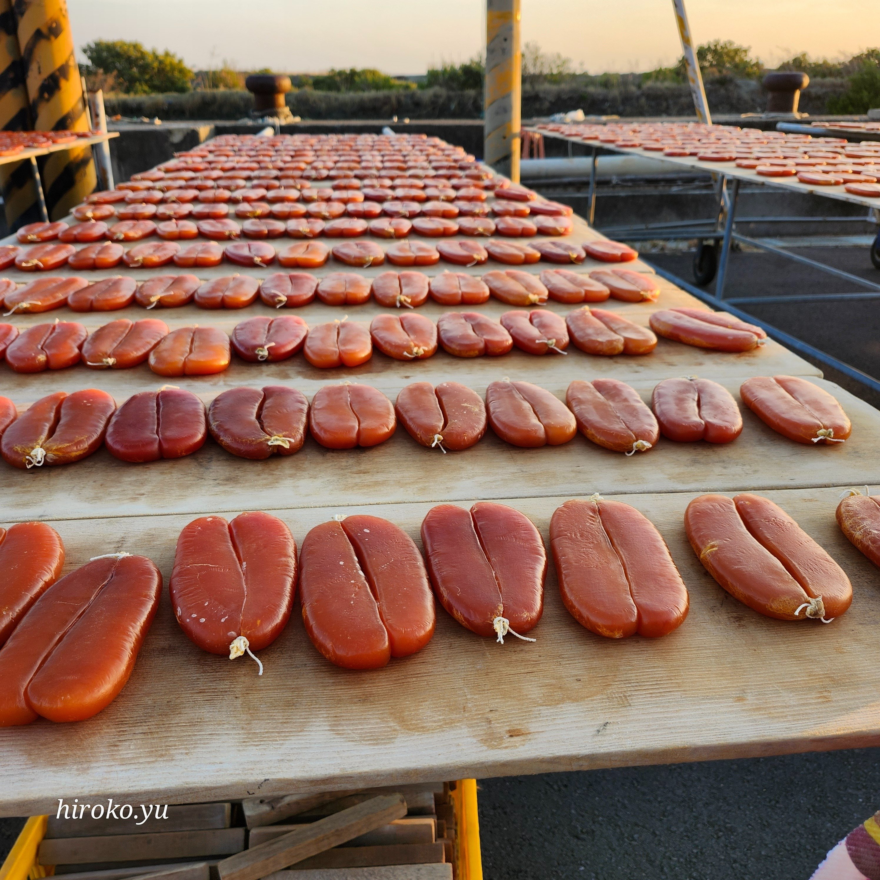 台南グルメ】オレンジ色に輝く台湾最大産地のカラスミ天日干し風景と