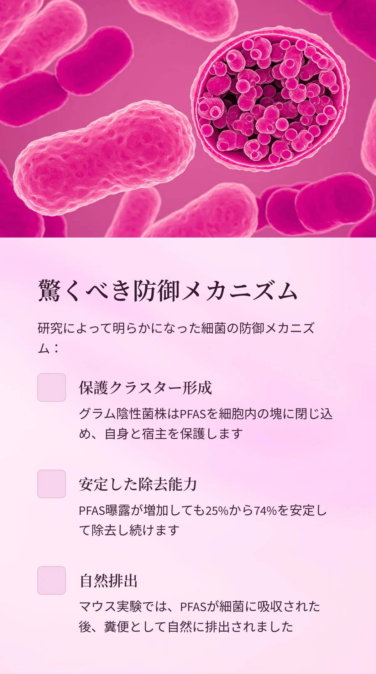 腸内細菌が「永遠の化学物質」を排除する？ケンブリッジ大学が発見した