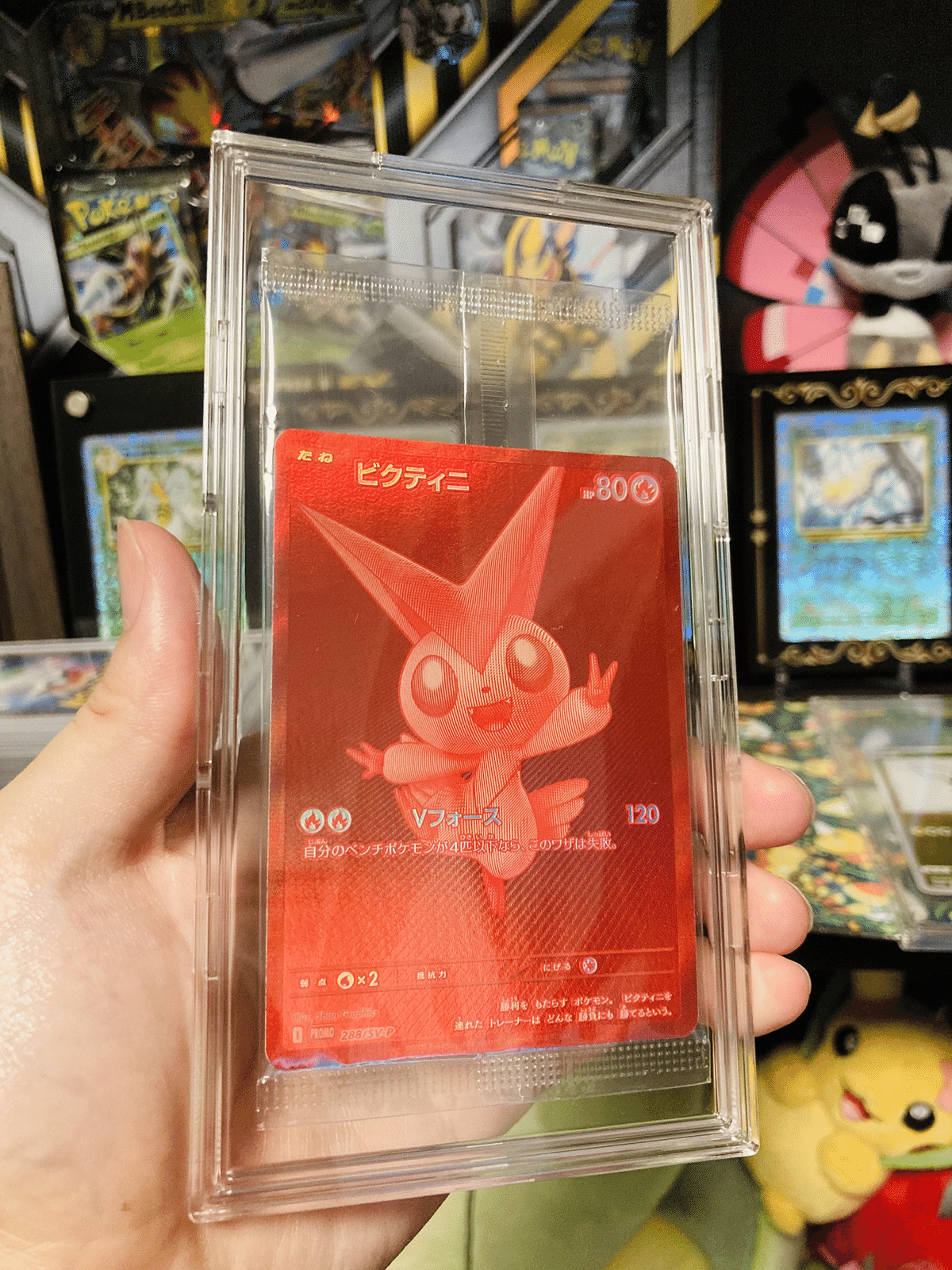 ビクティニBWR ビクティニBWR争奪戦」開催！ | ポケモンカードゲーム公式
