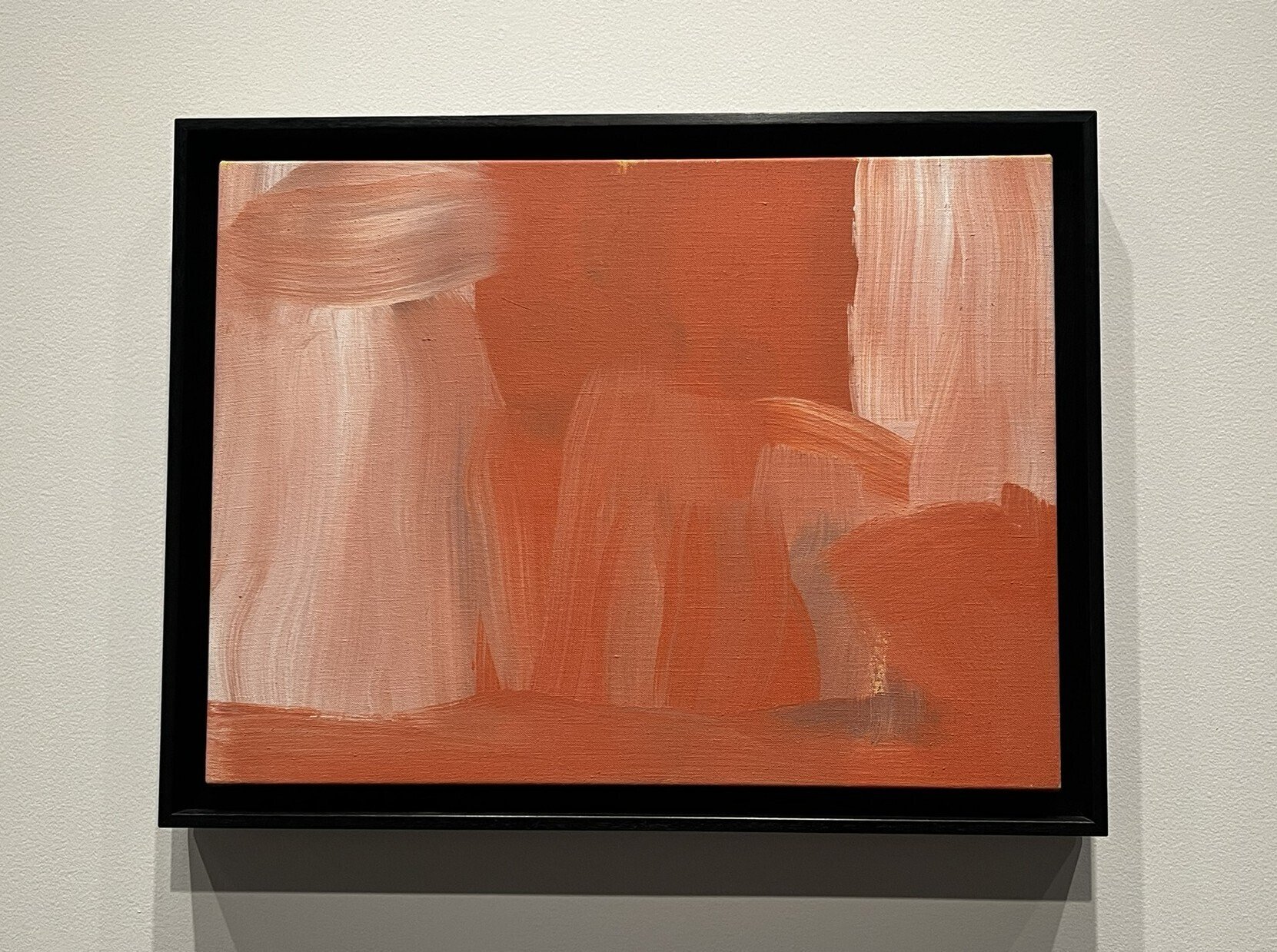 展覧会 #48 彼女たちのアボリジナルアート オーストラリア現代美術