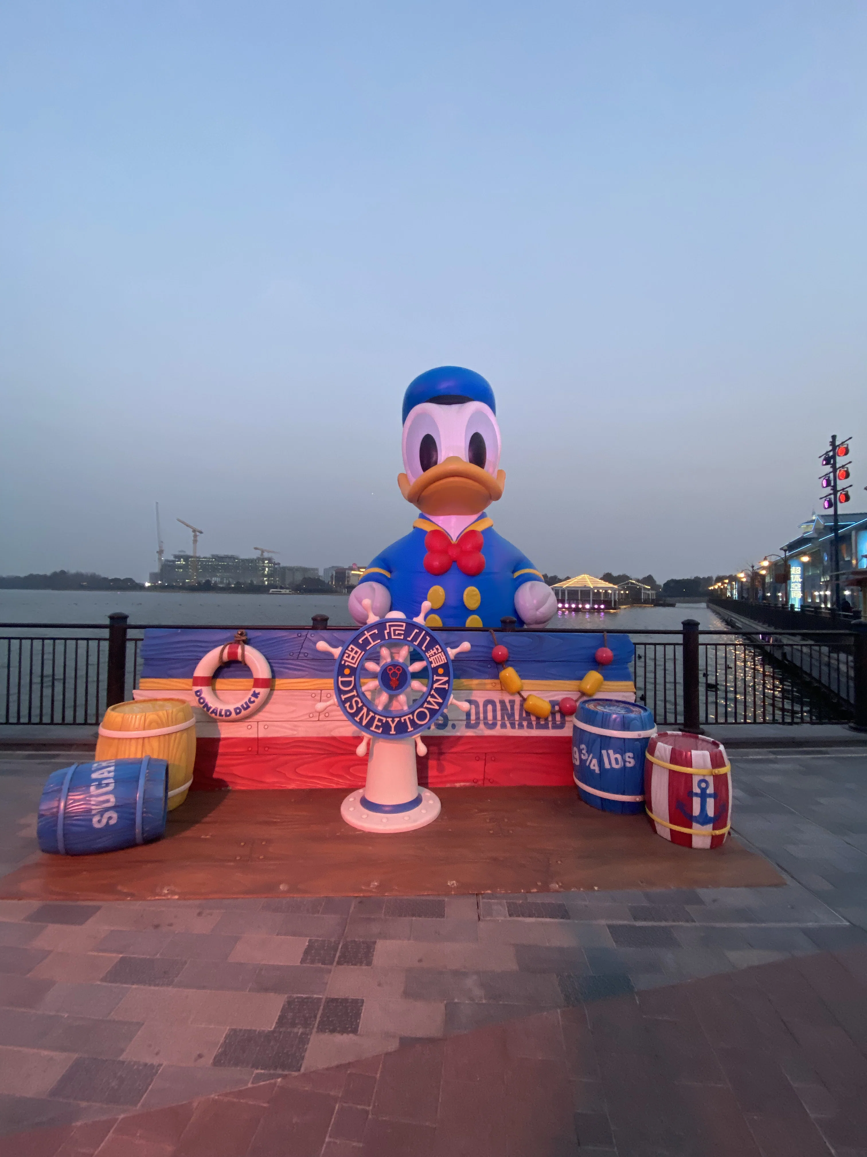 ☆上海ディズニーランドに行ってきた②☆｜Sammy