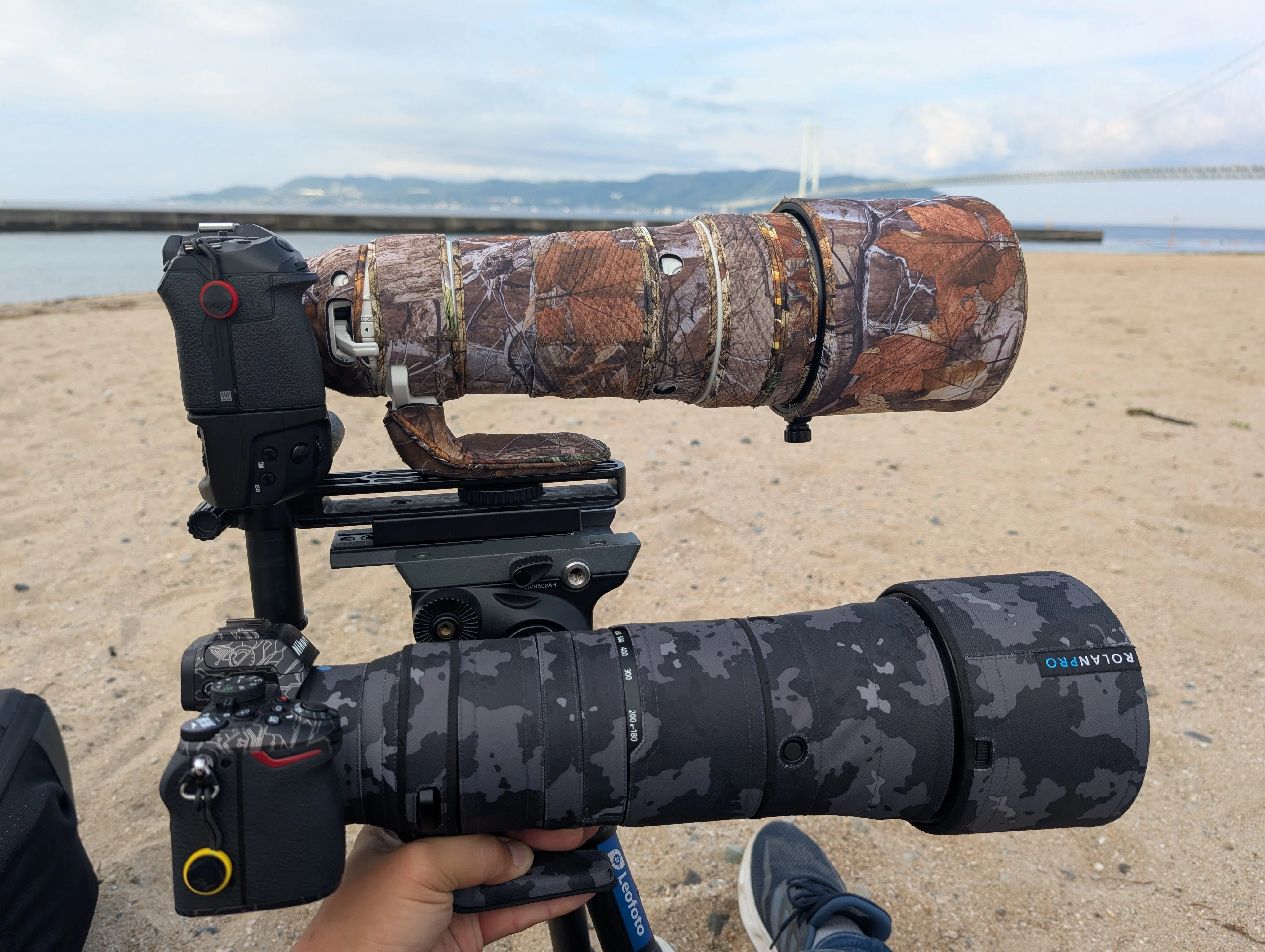 このたびNikon Z50IIとZ180-600mm f/5.6-6.3VRを買いました ─超望遠