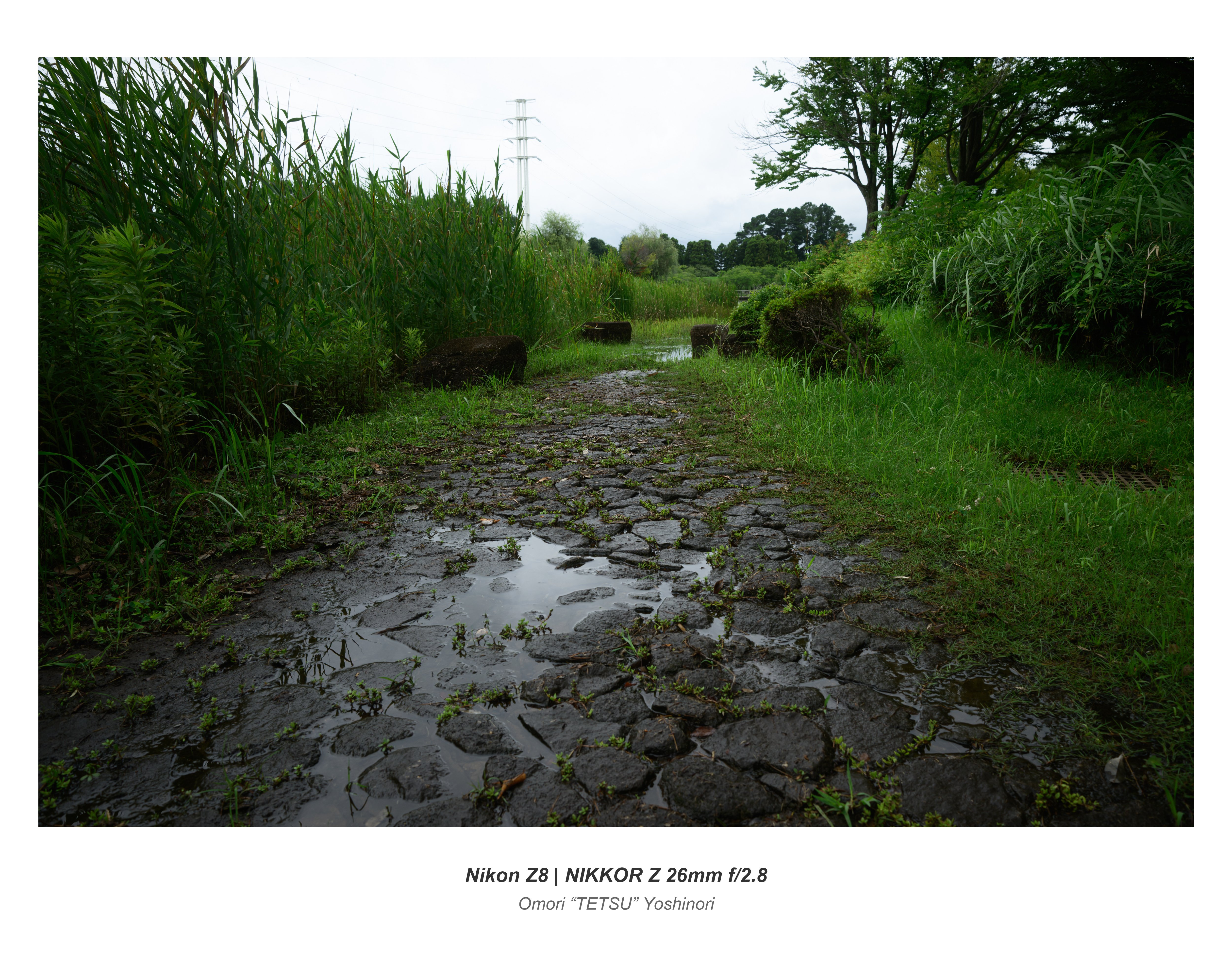 写真撮影の参考にしてください NIKKOR Z 135mm f1.8 S Plena』 ・ いよいよ発表になりました