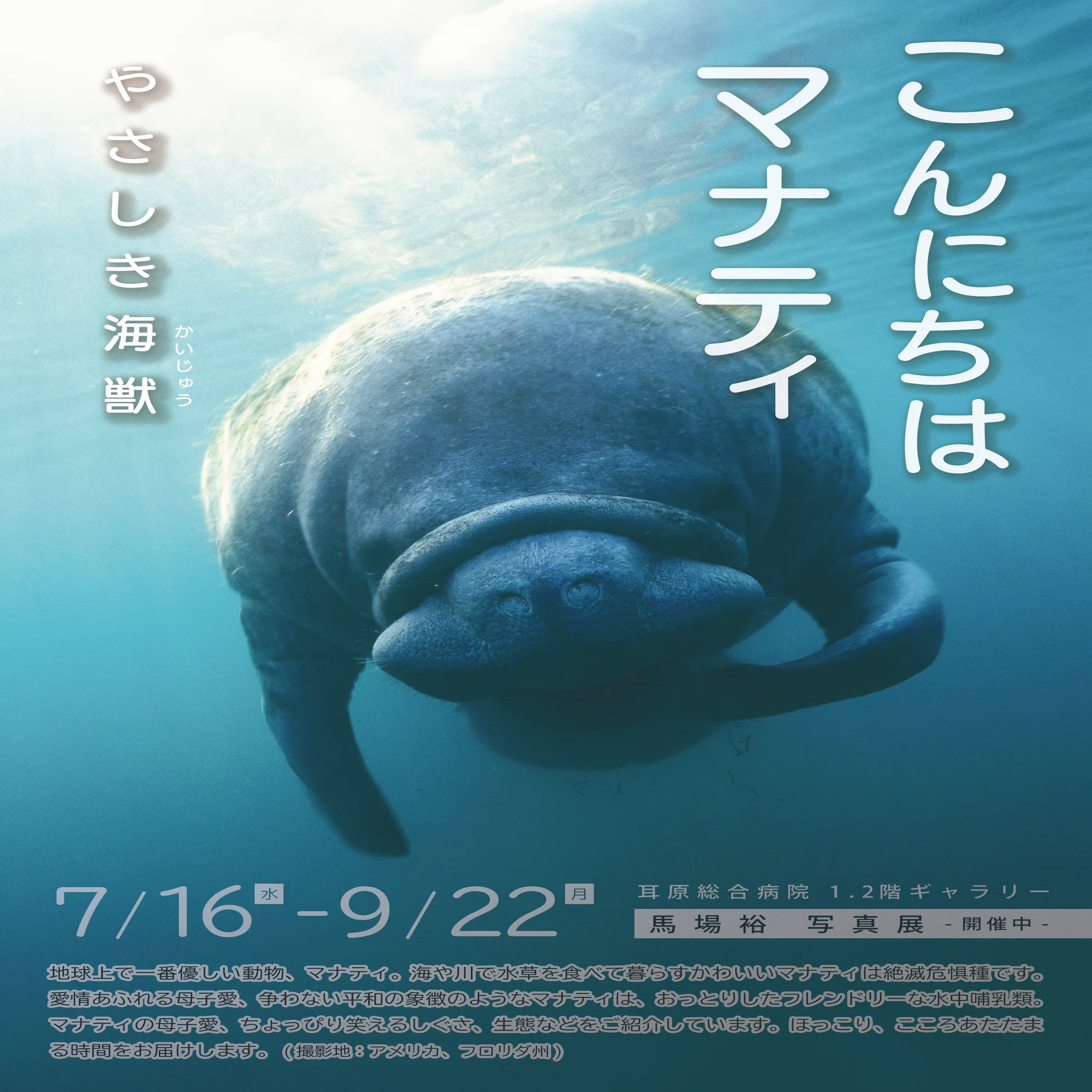 終了〉馬場裕 写真展〈こんにちは マナティ 〜やさしき海獣〜〉｜人と 