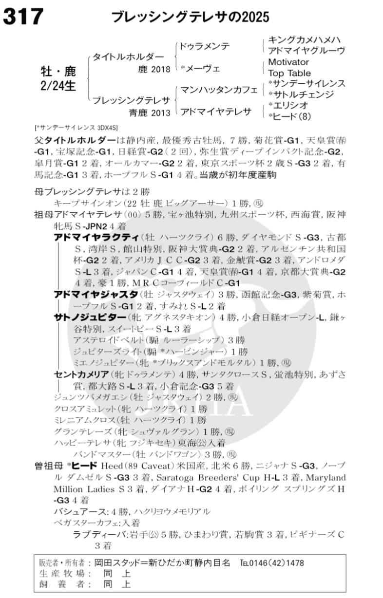 DMMバヌーシー セレクトセール2025 当歳セッション落札馬｜ともひろ