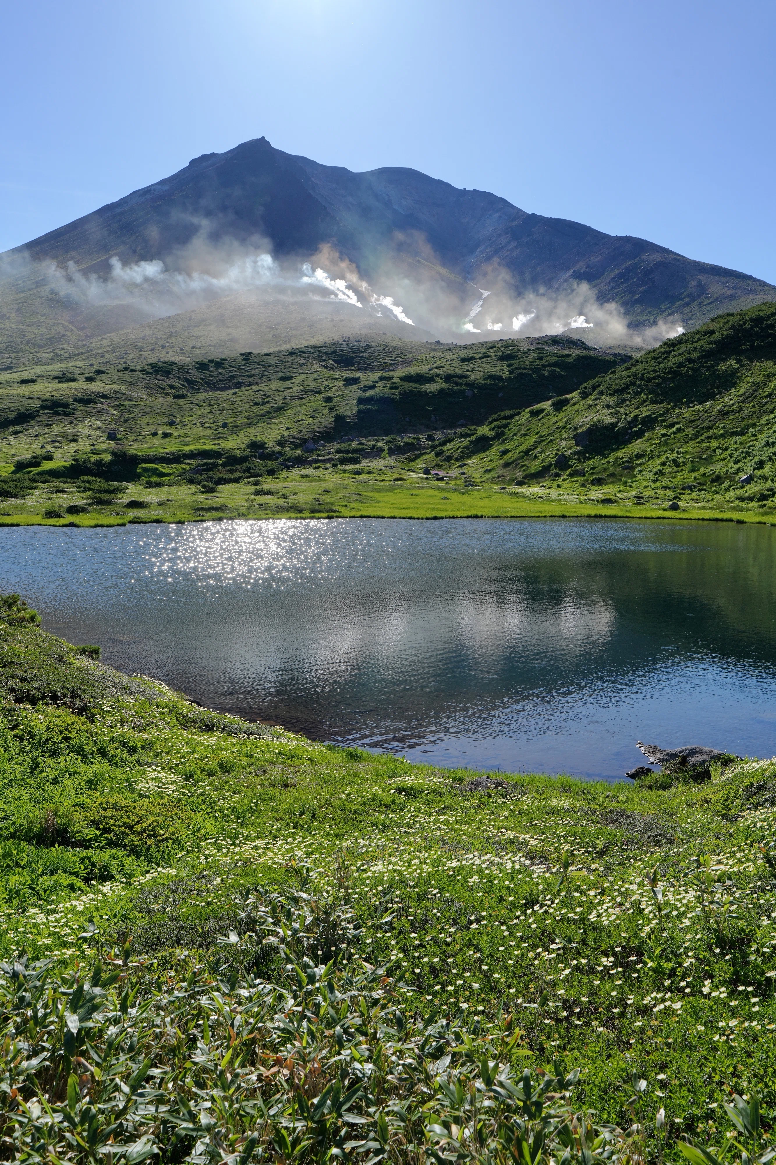 裾合平のチングルマ｜風景写真 四季の山旅