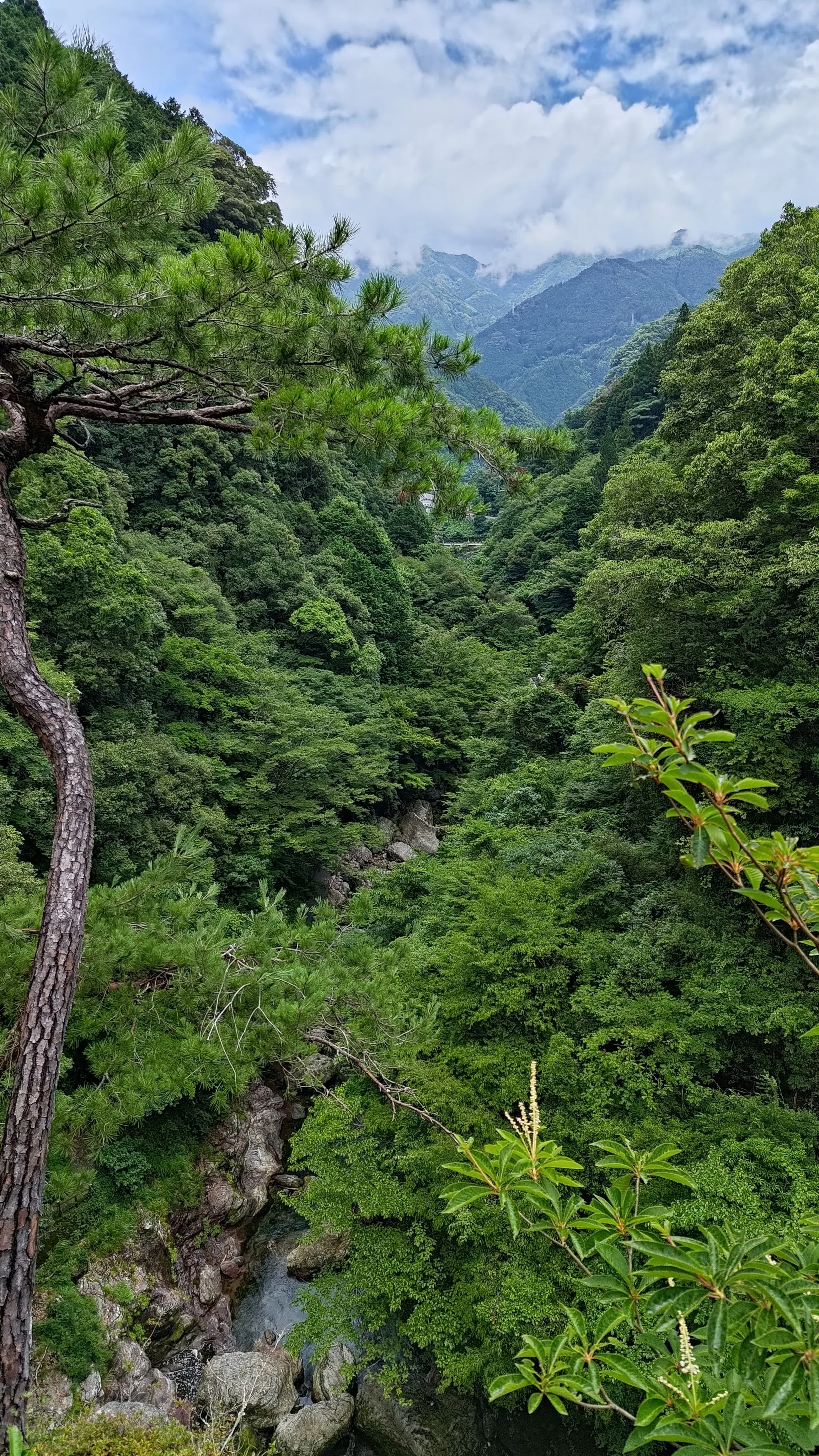 2025夏〜涼を求めて高知県中津渓谷｜Kazu8492