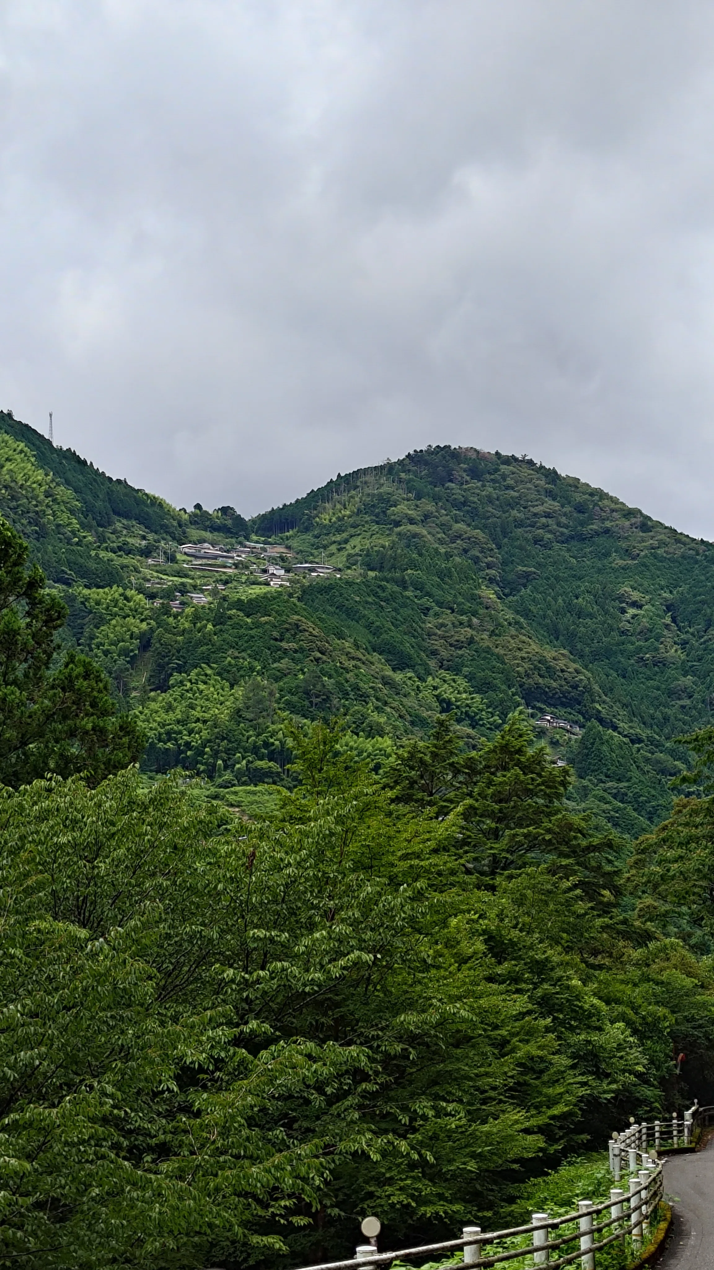 2025夏〜涼を求めて高知県中津渓谷｜Kazu8492