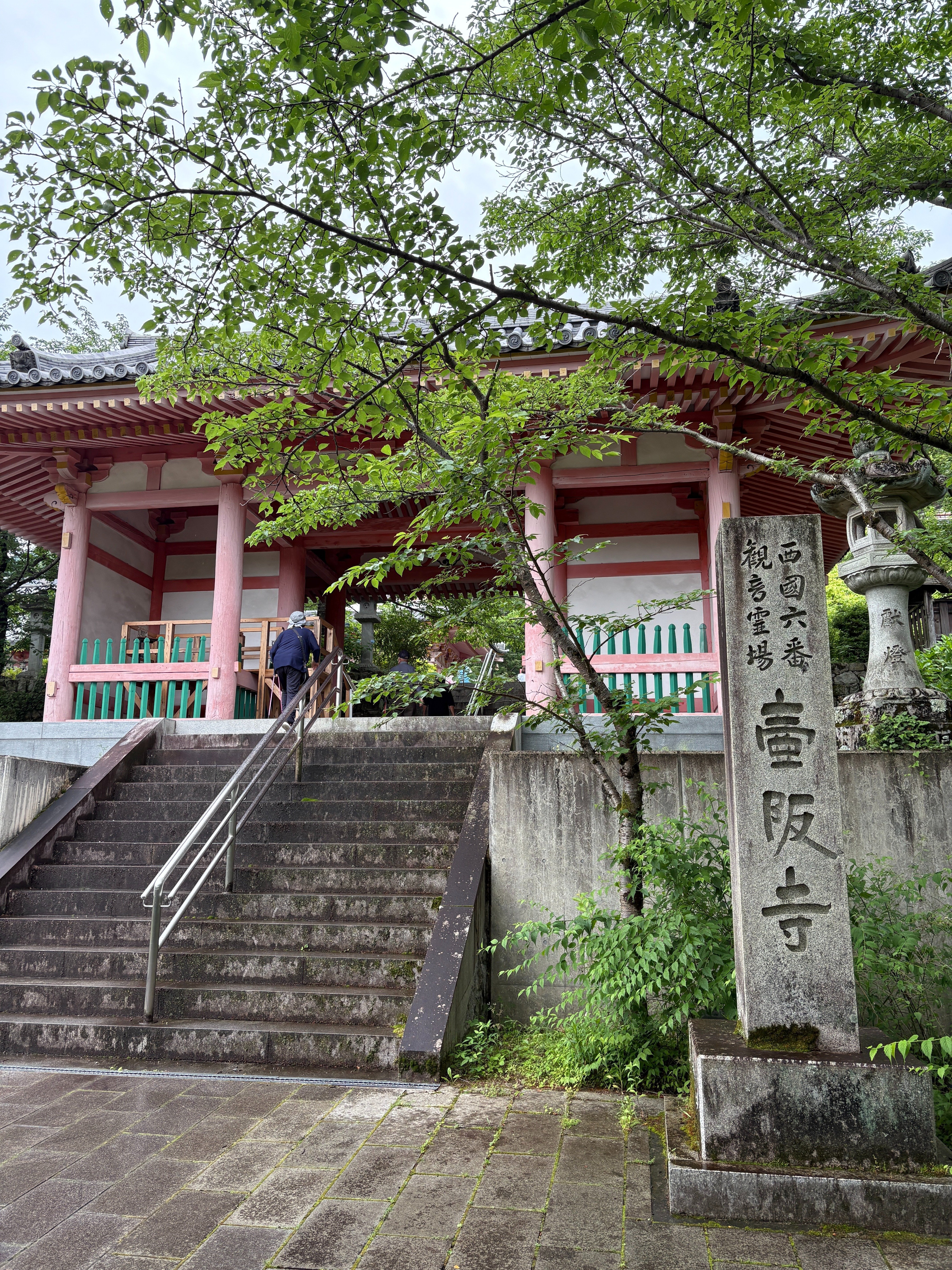あじさいの壺阪寺、岡寺と如意｜♭のぶ