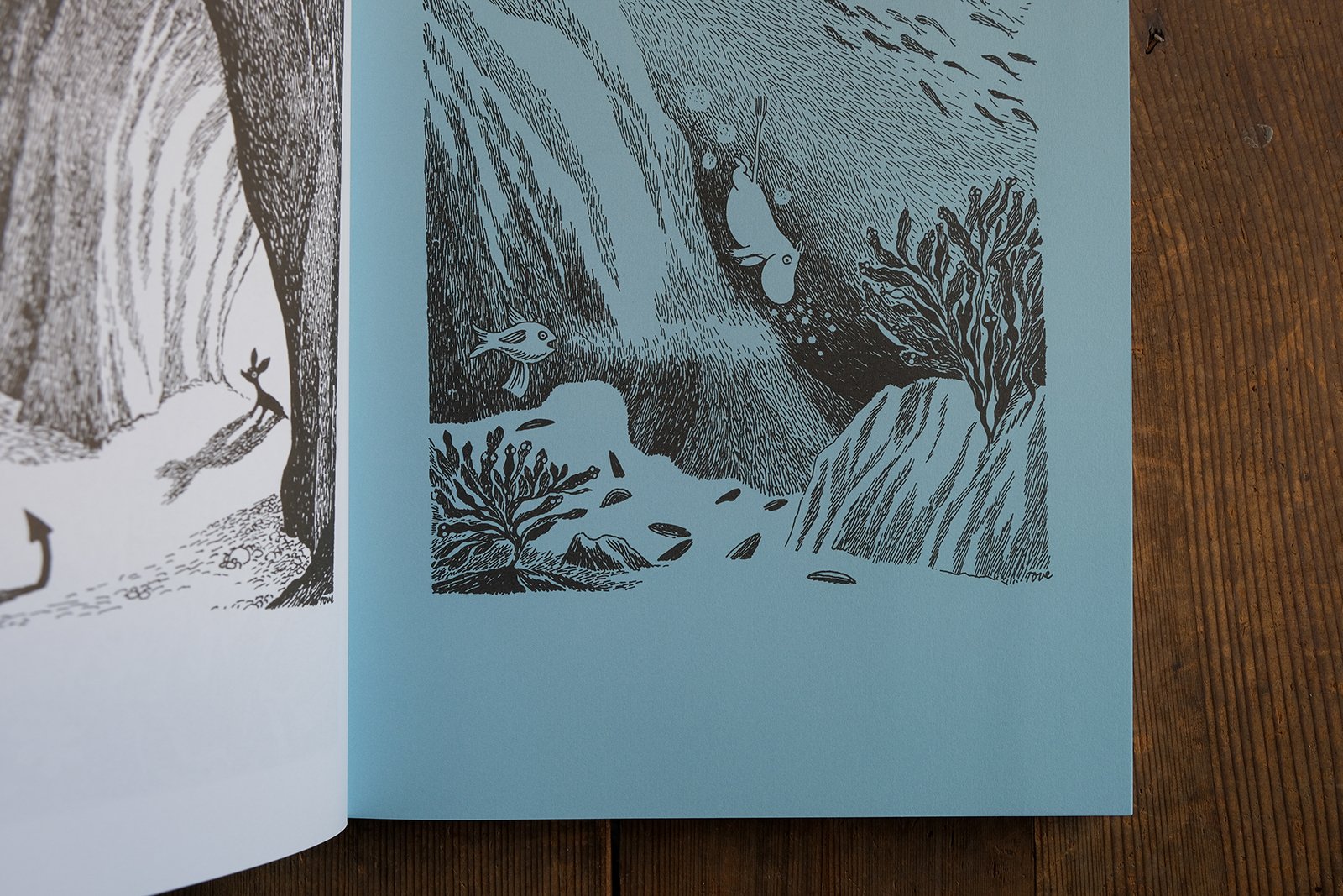 7月19日-8月20日｜“MOOMIN MISCHIEVOUS NATURE”｜恵文社 | 本