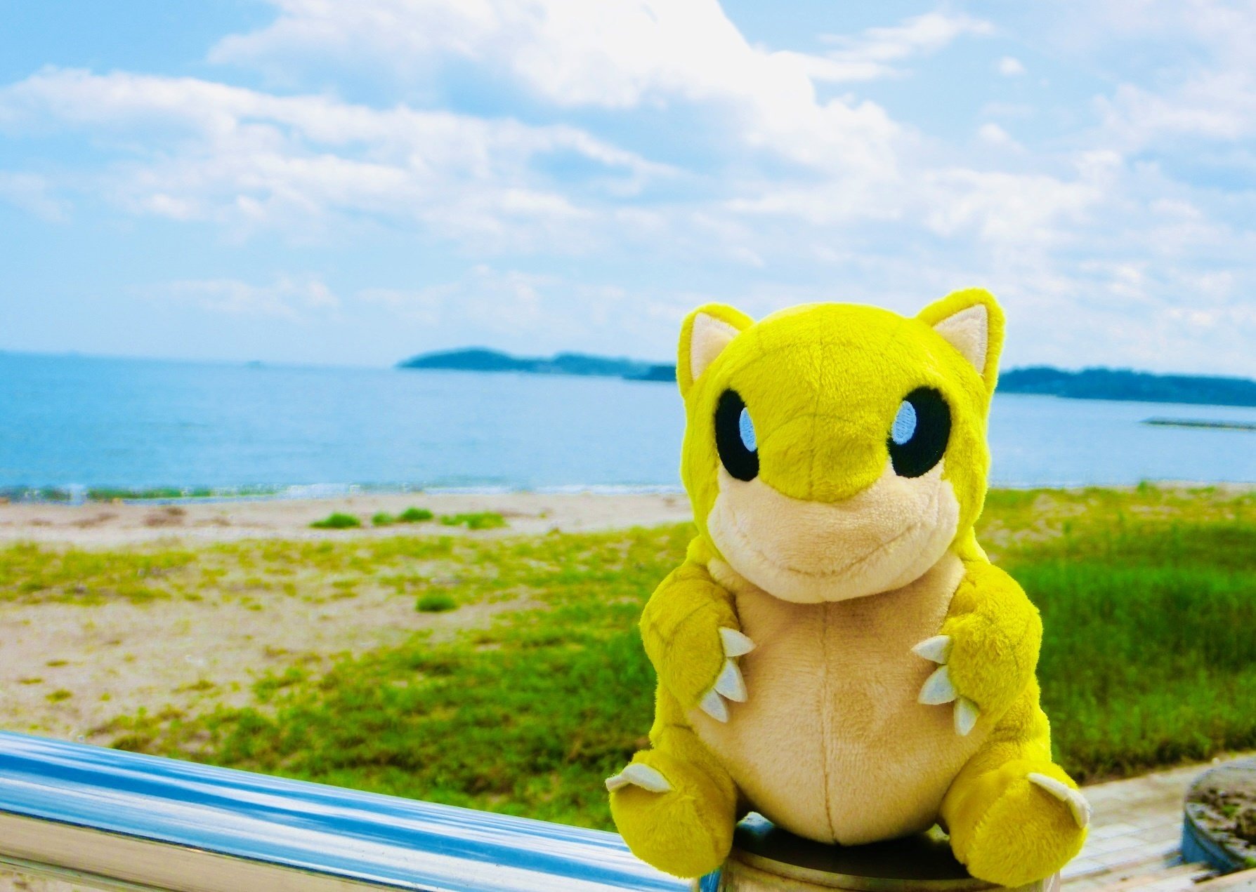 ザングース達にポケモンの世界に連れ戻してもらった【ポケモンの話